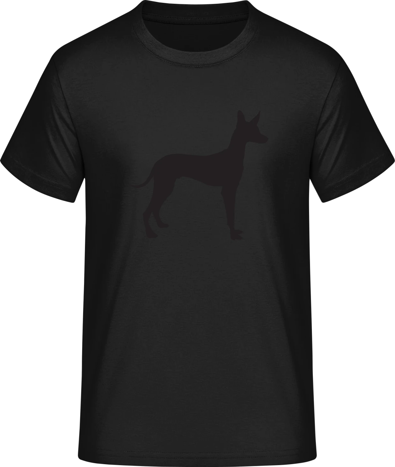 Pharao Hound Podenco - Front_Schwarz