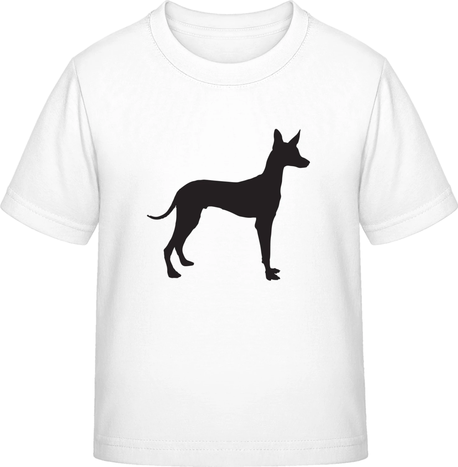 Pharao Hound Podenco - White Exact 190 Kids - Front