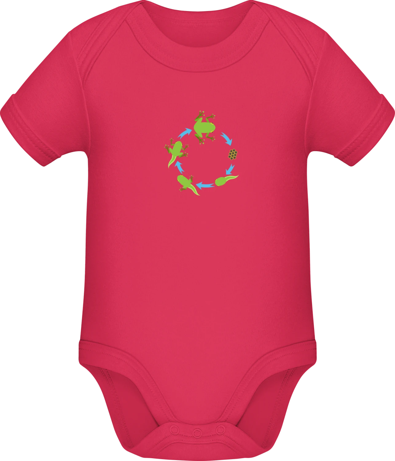 Evolution Of A Frog - Sorbet Sonar SSL organic babybodsuit - Front