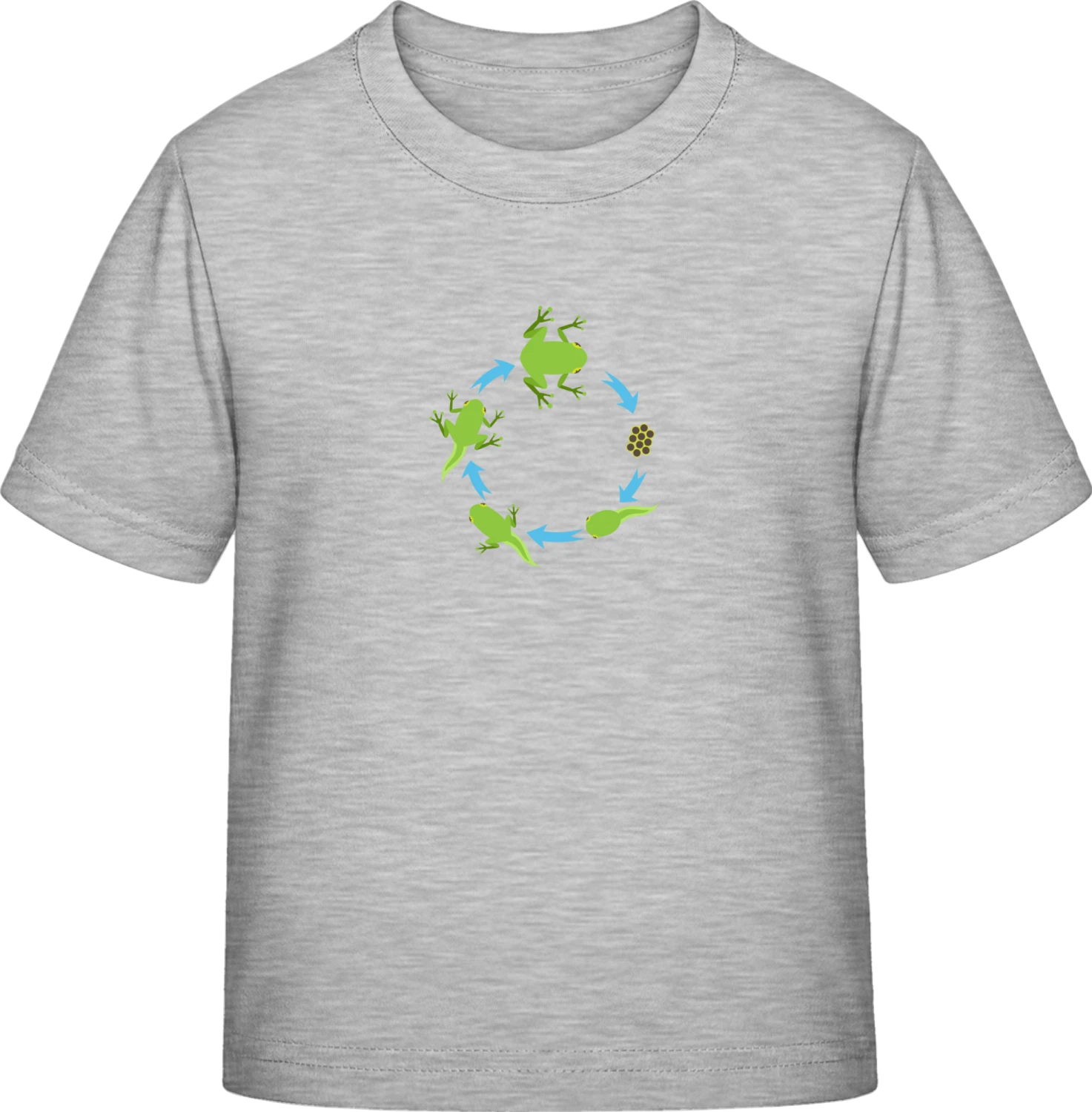 Evolution Of A Frog - Sky Grey Exact 190 Kids - Front