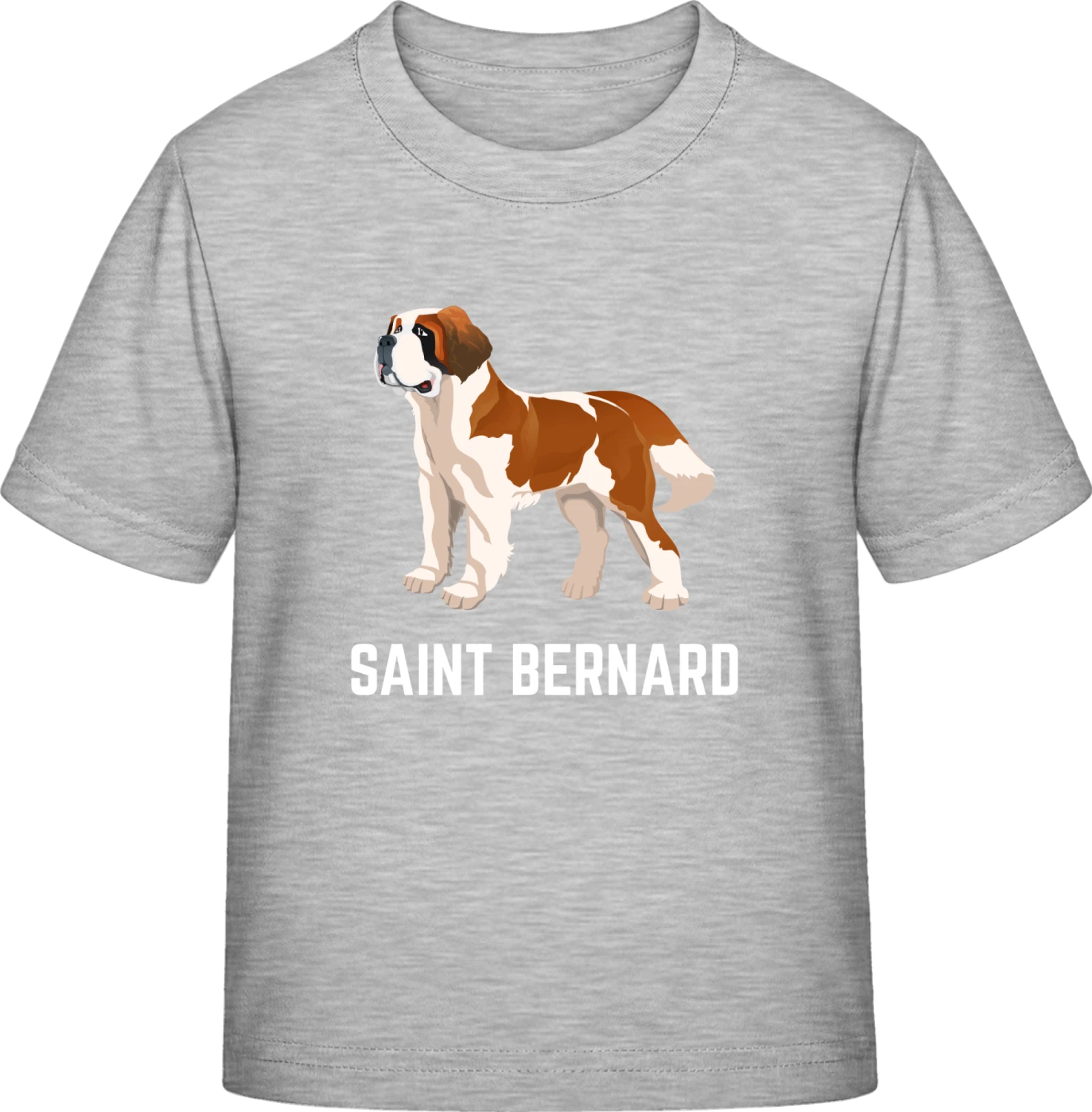 Saint Bernard Illustration - Sky Grey Exact 190 Kids - Front