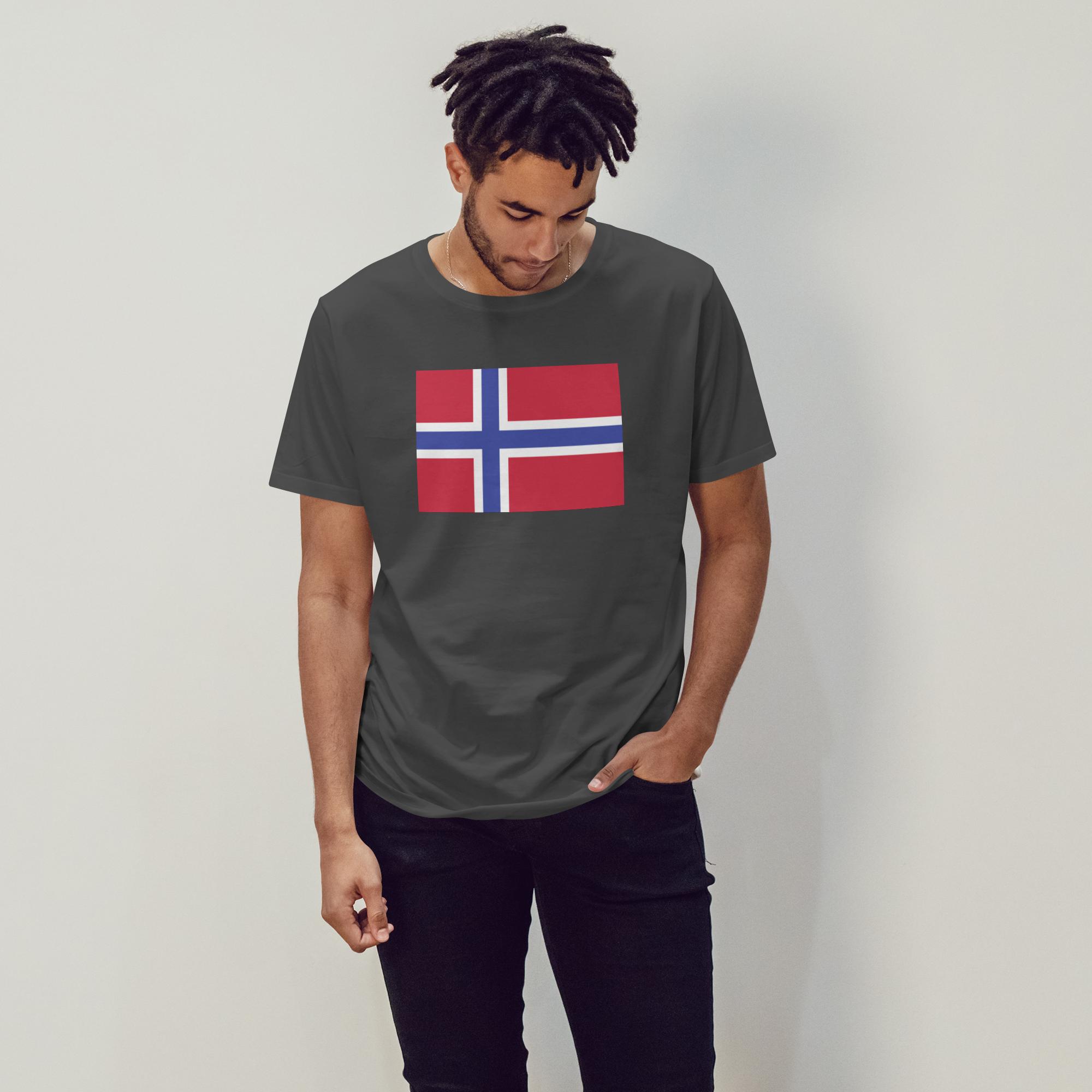 Norway Flag - 1713374244350 1