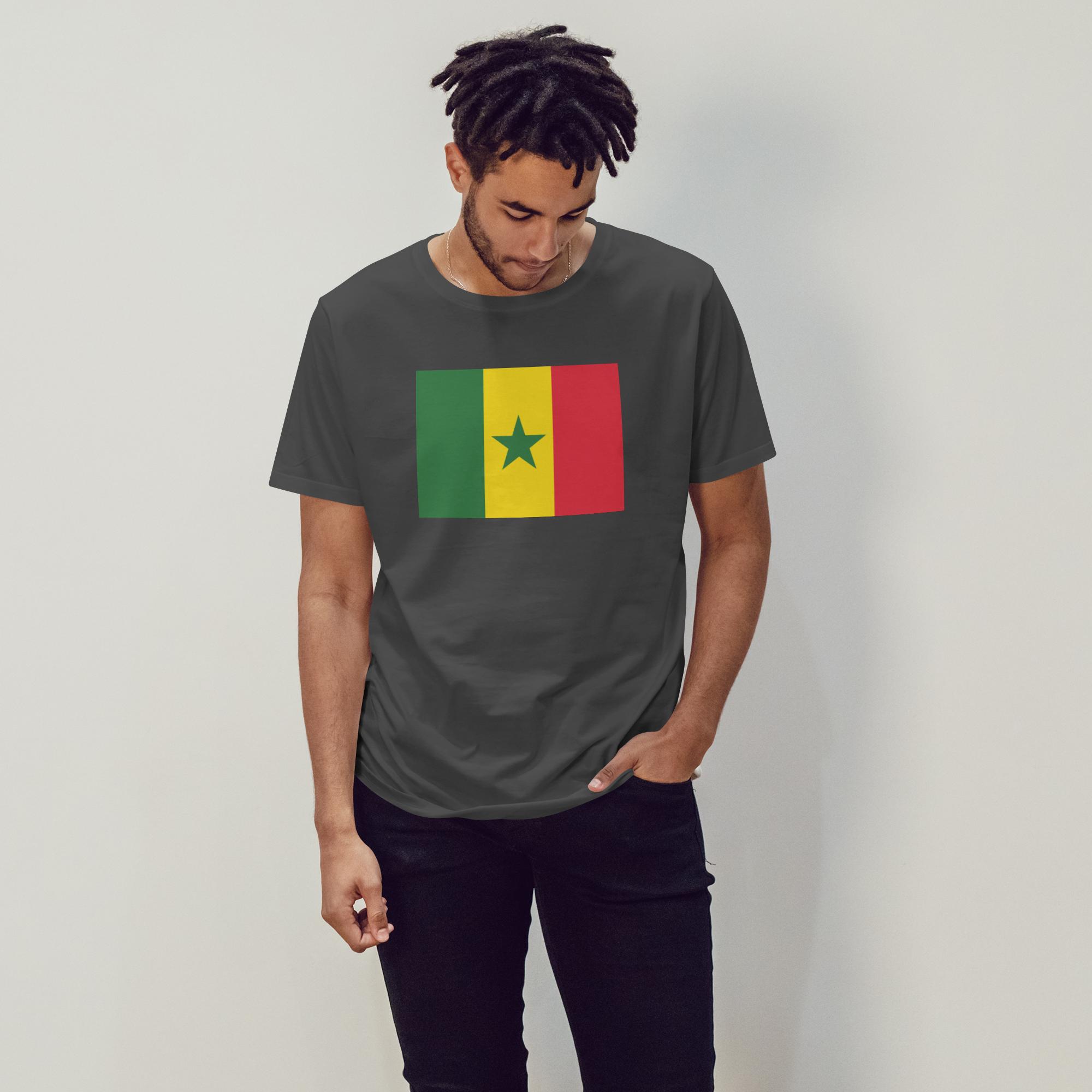 Senegal Flag - 1713374244350 1