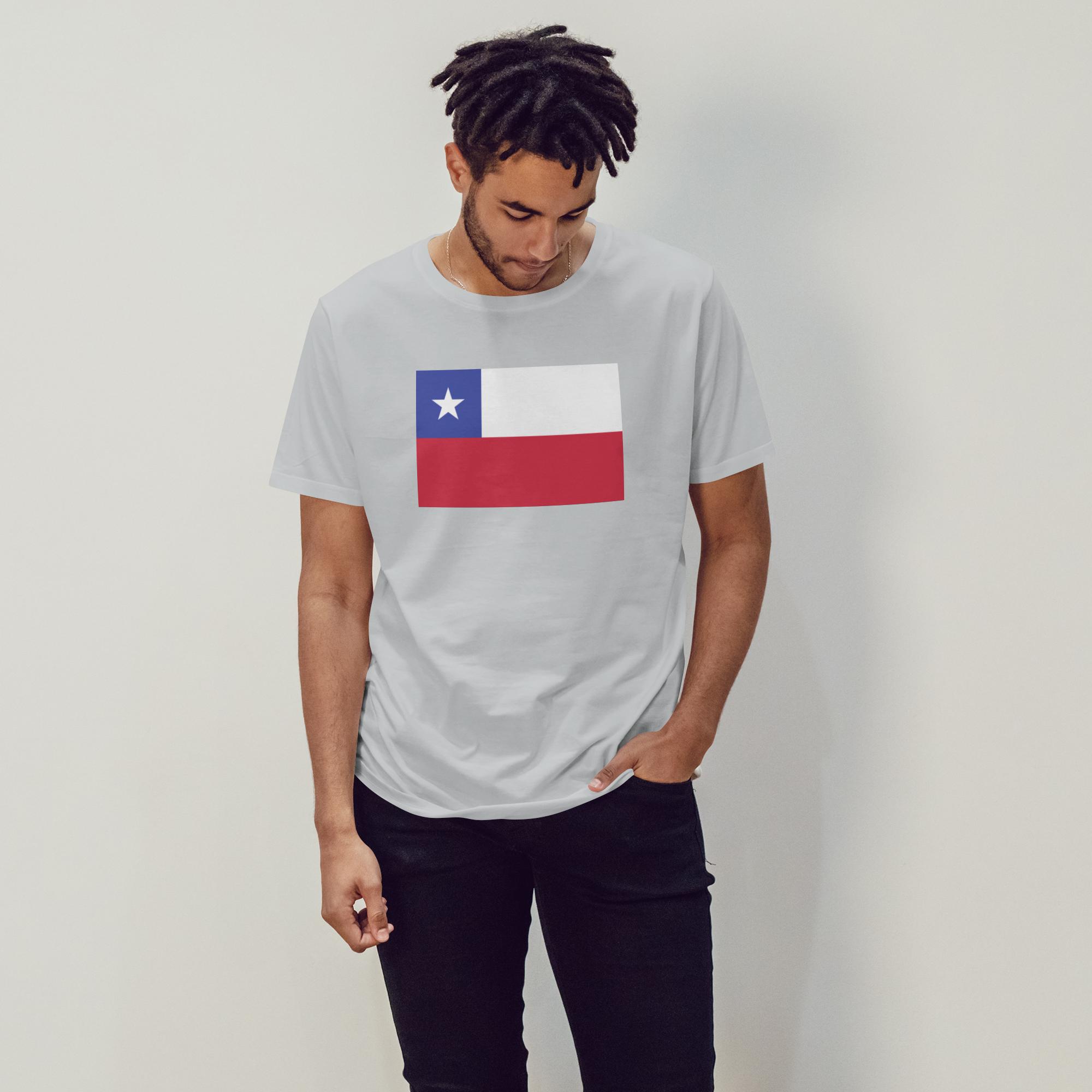 Chile Flag - 1713374244350 1