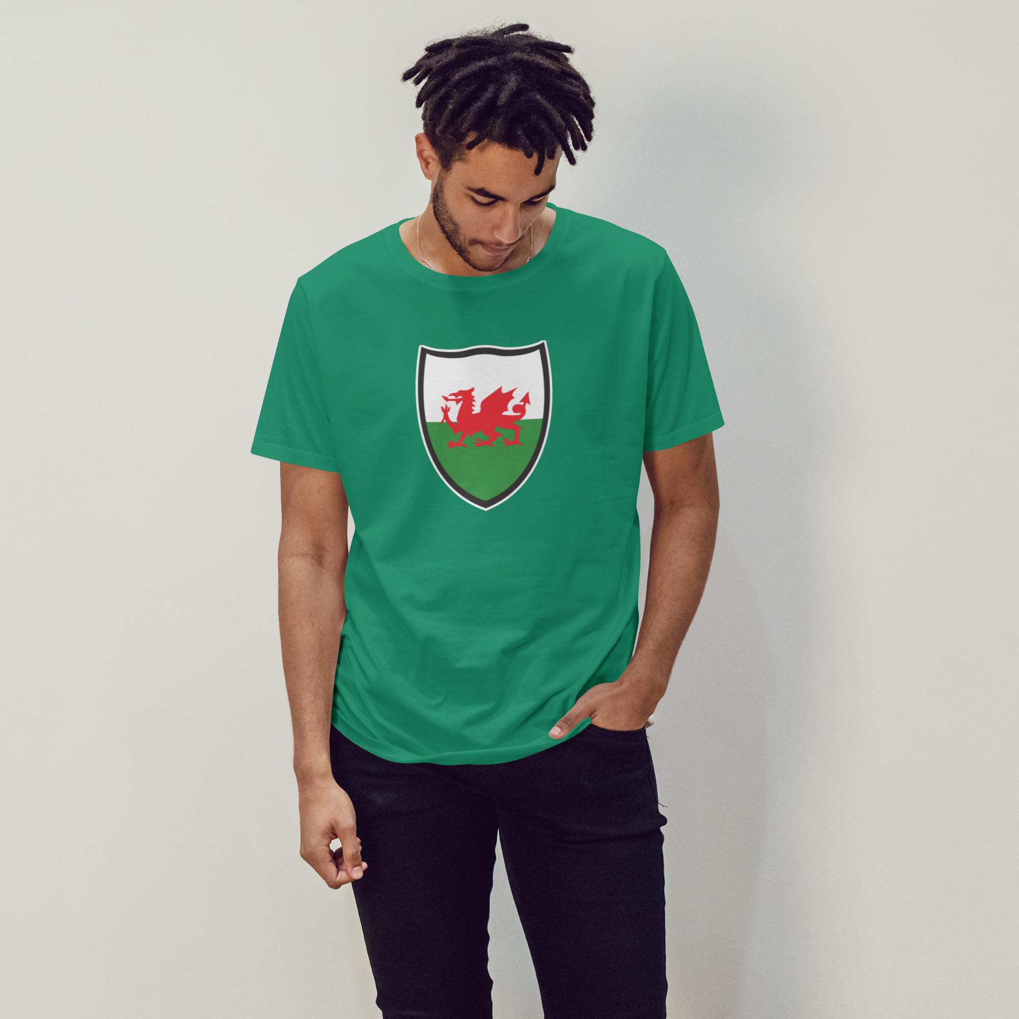 Wales Flag Shield - 1713374244350 1