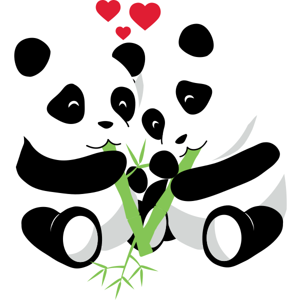 Panda Love Dames T-shirt | Shirtcity