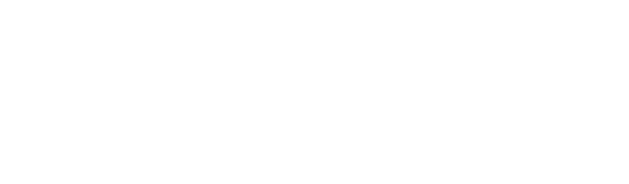 Hairdresser Evolution