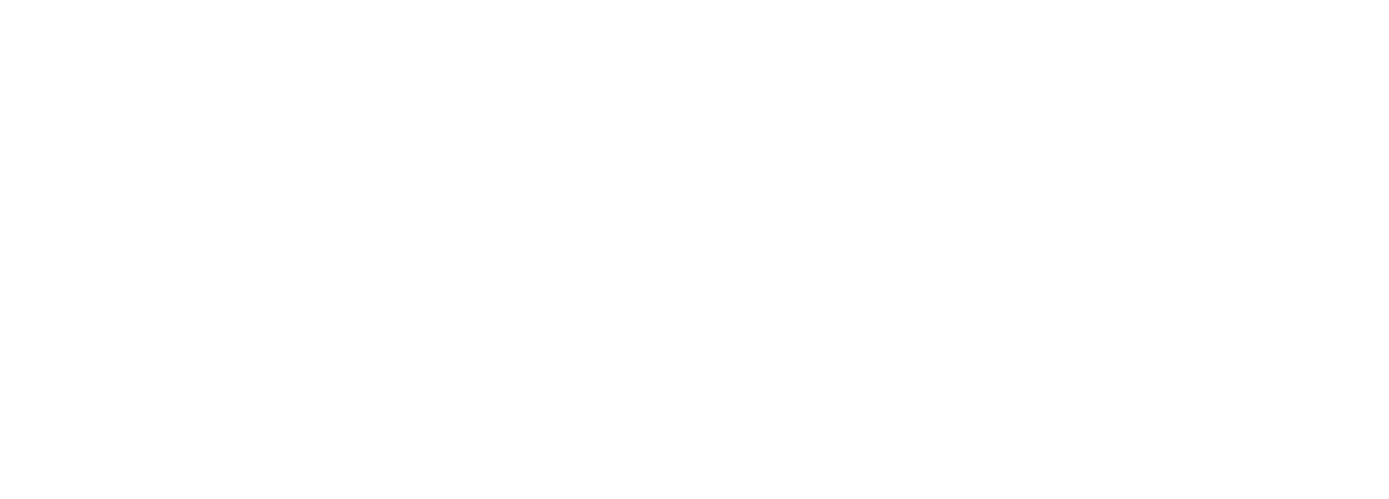 Flute Evolution