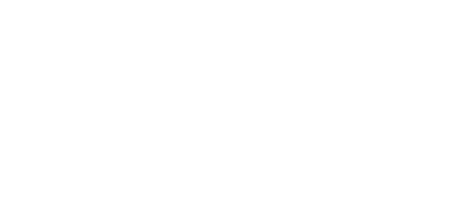 Motorcycle Pulse