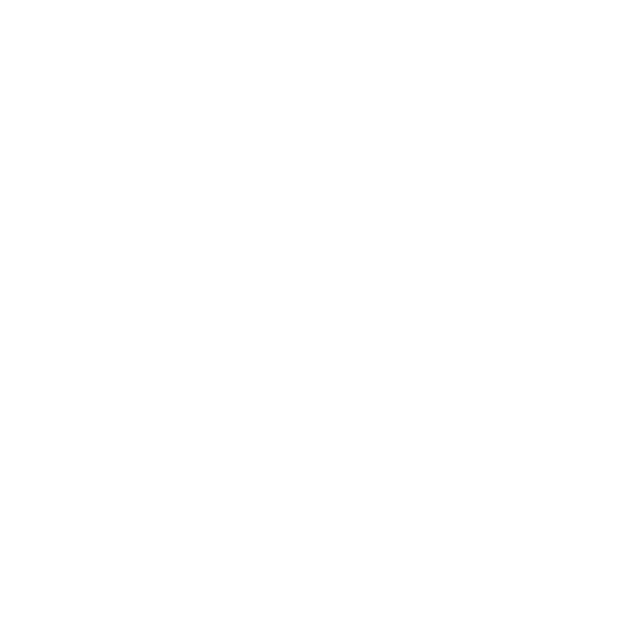 Viking Compass