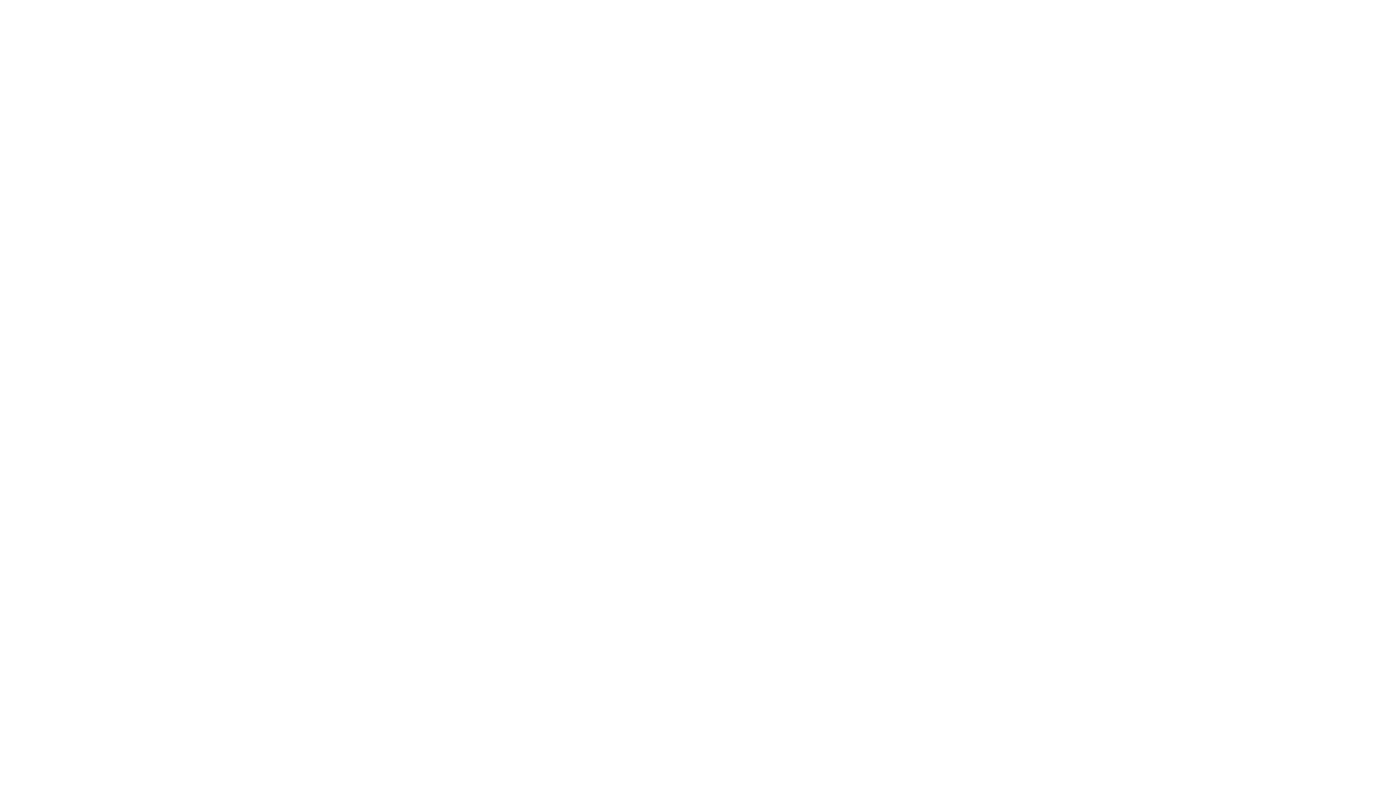 Blue Mountain Bike