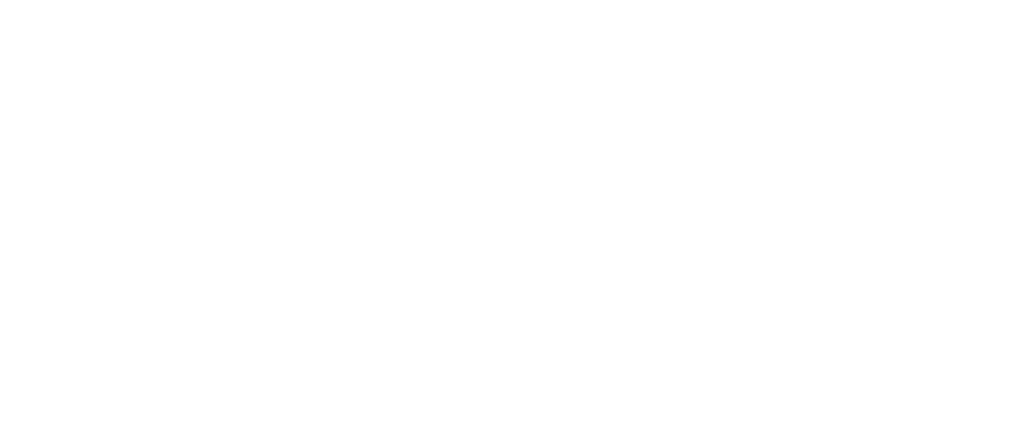 Skate Evolution