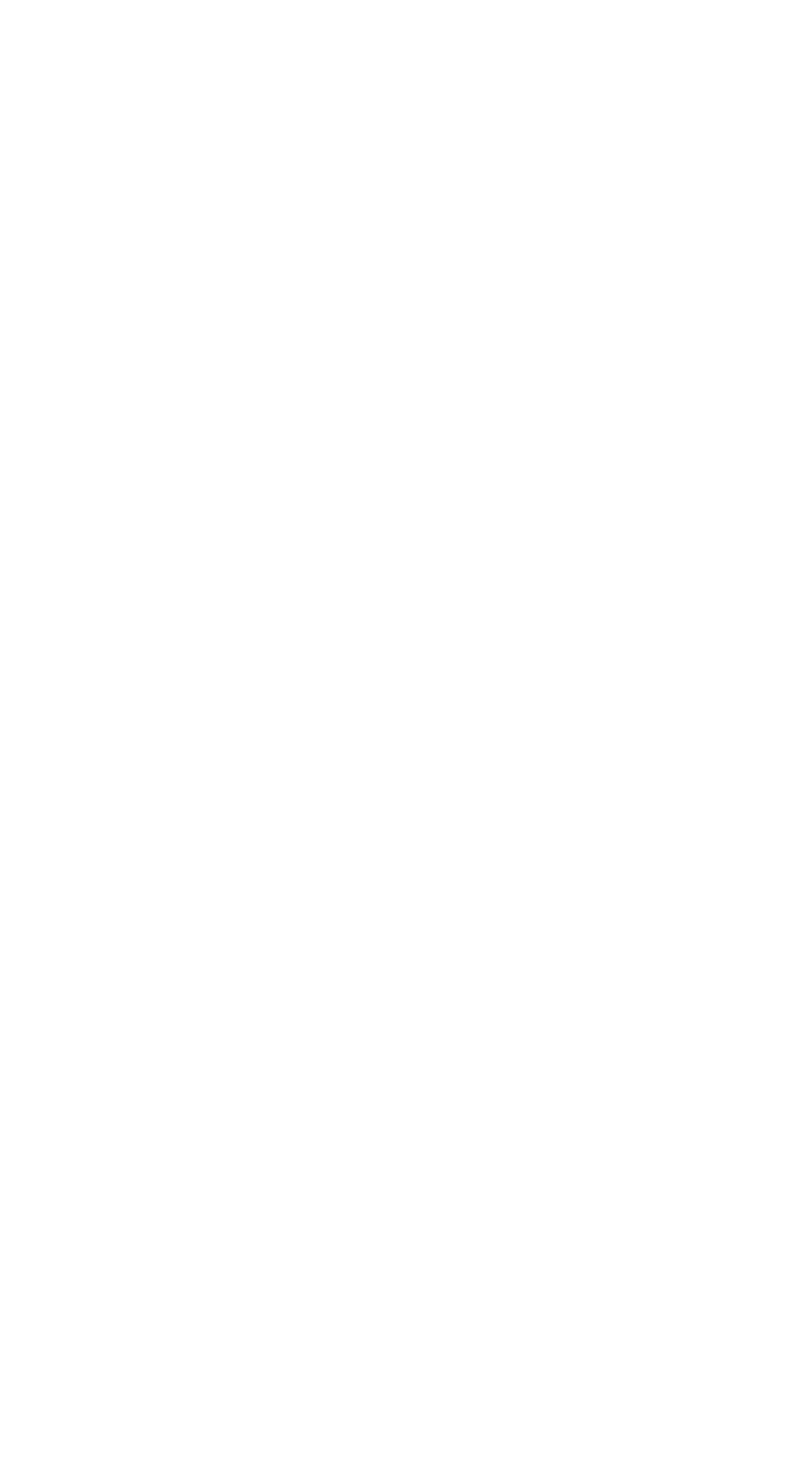 Horse Chick