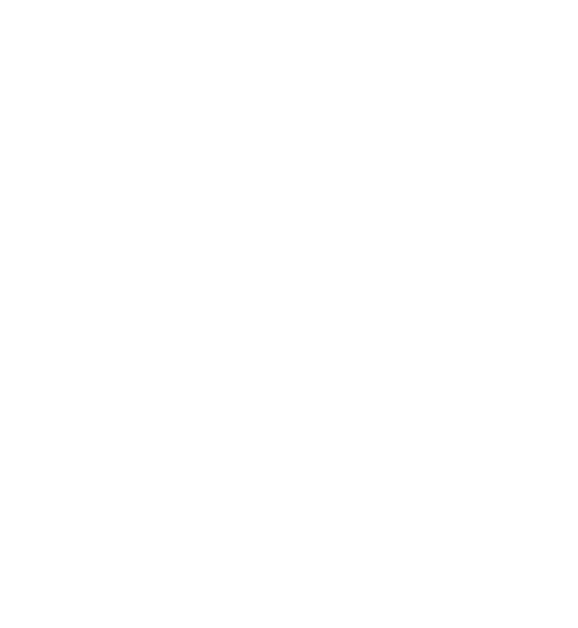 Roofing Skull
