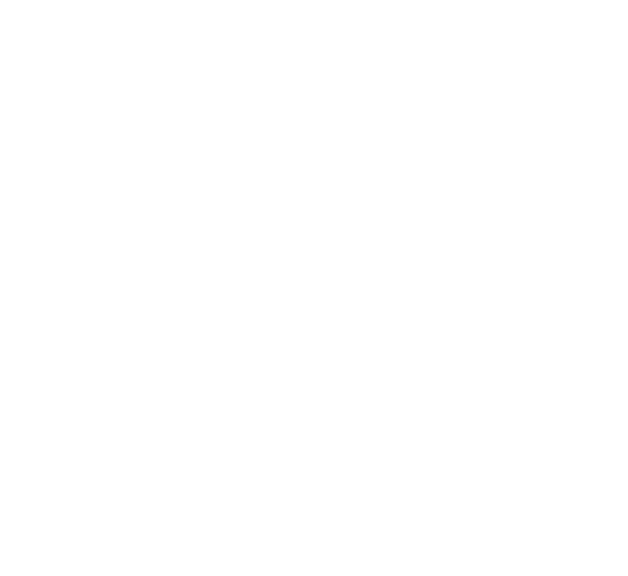 Muay Thai Silhouette