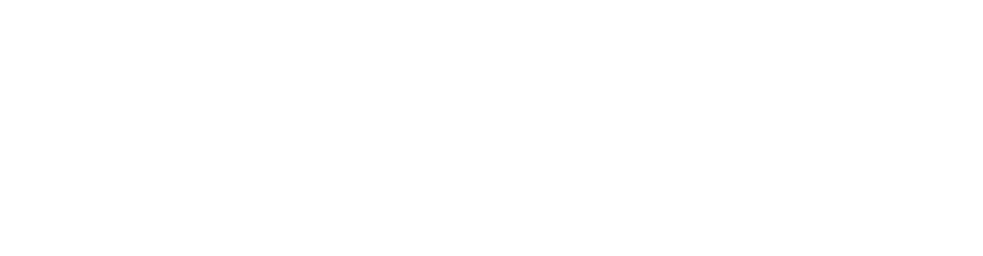 Ninepins Evolution Bowl