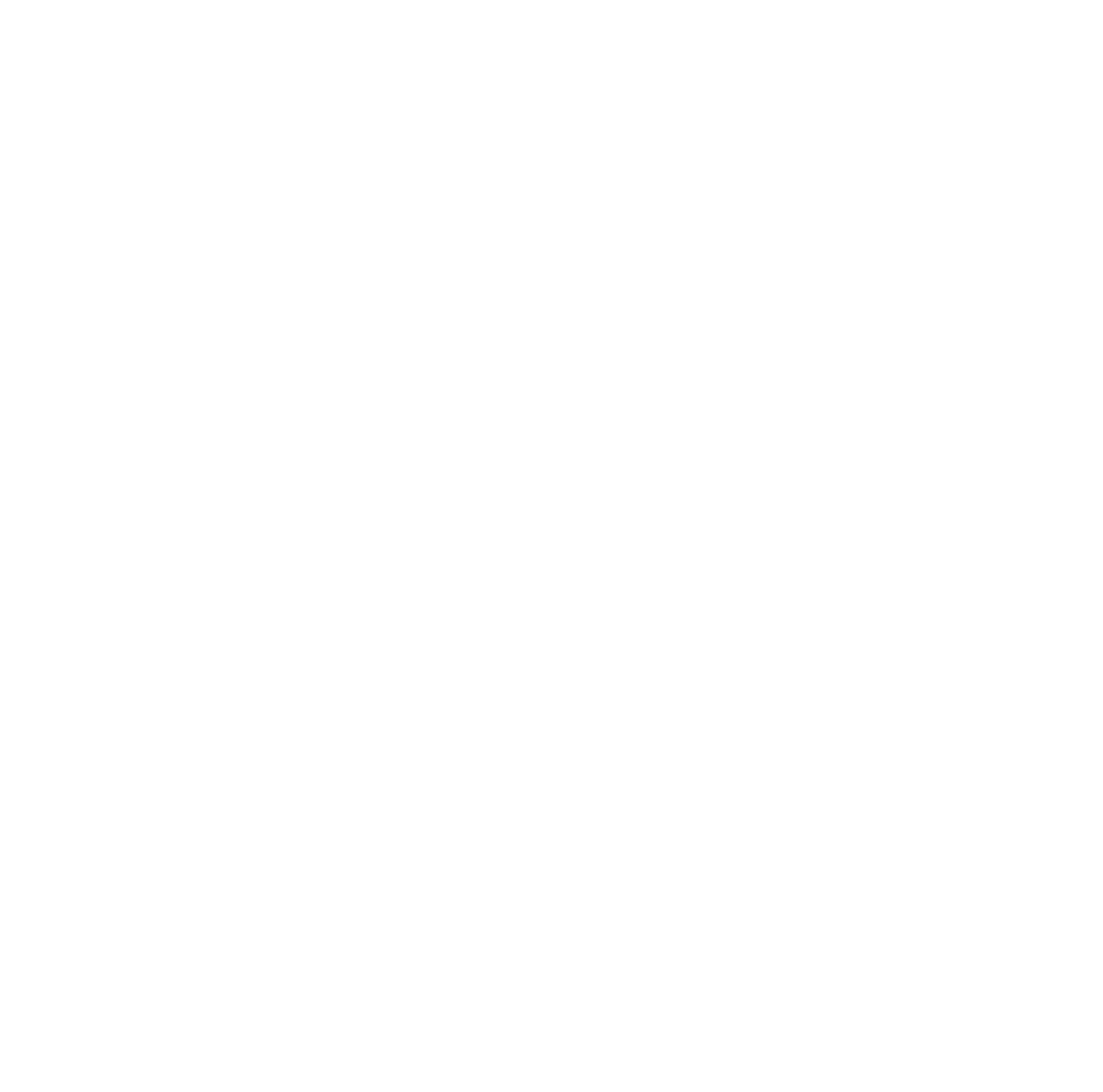 Einstein Face