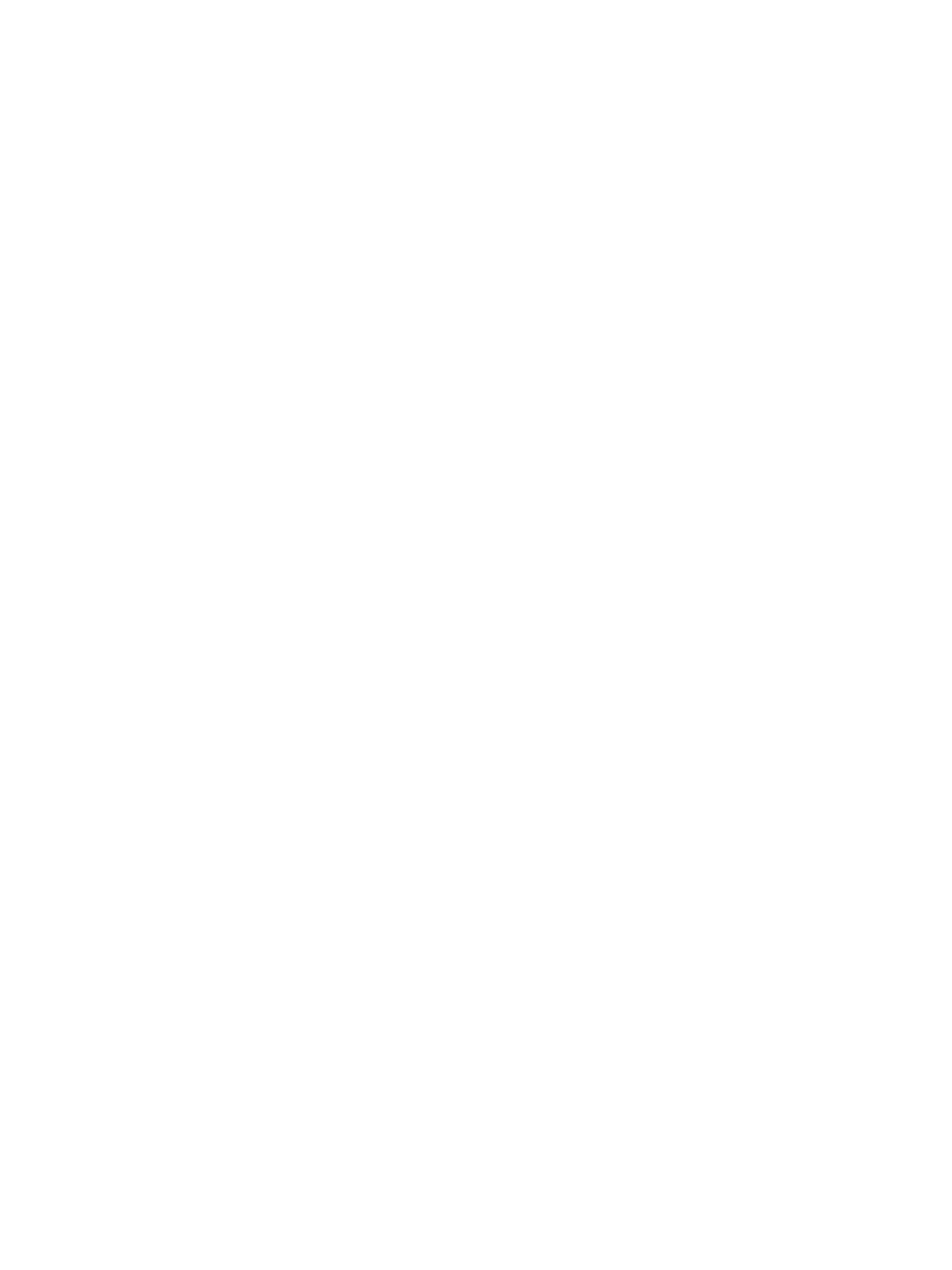 UFO Believer