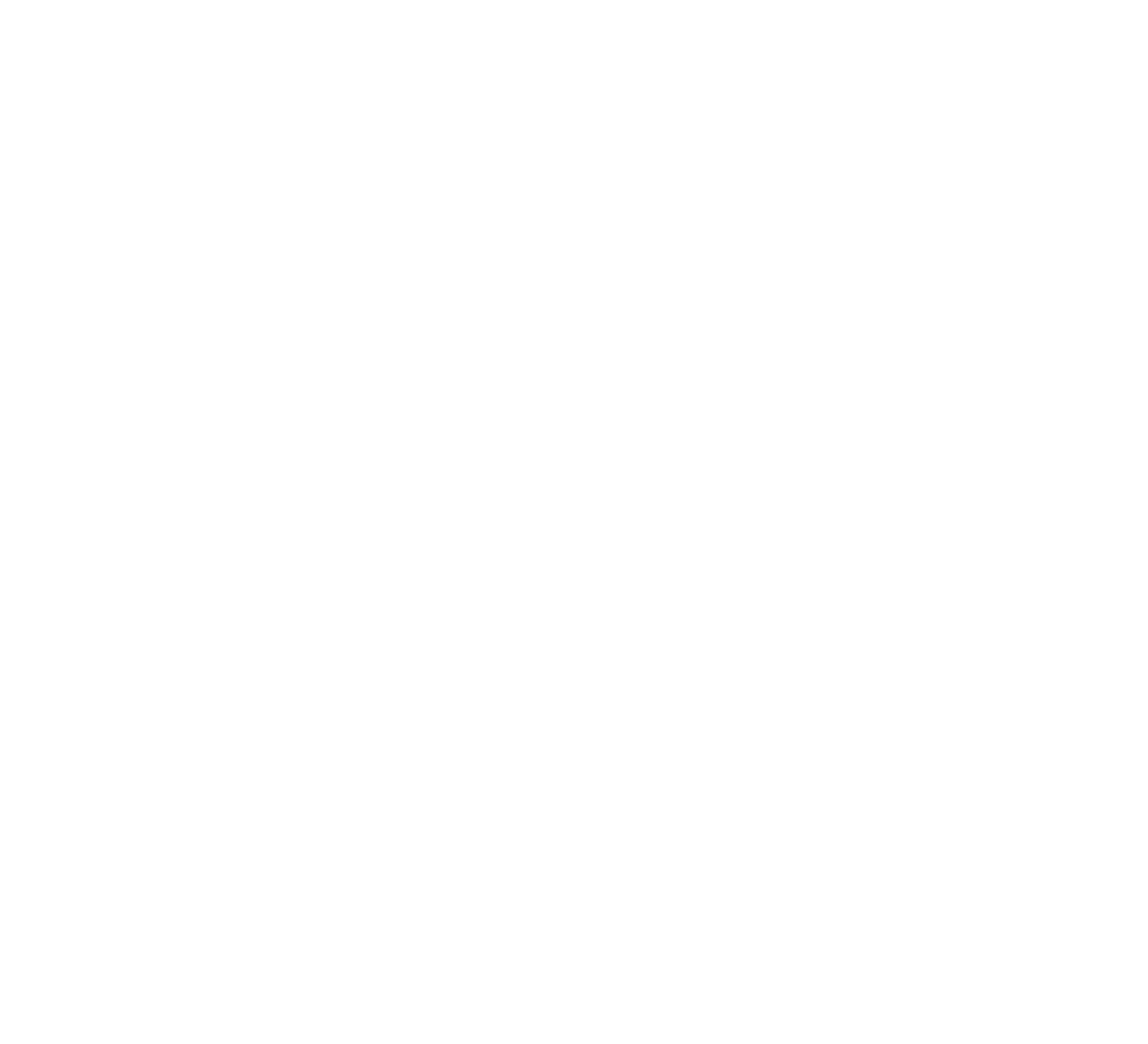 Chess King