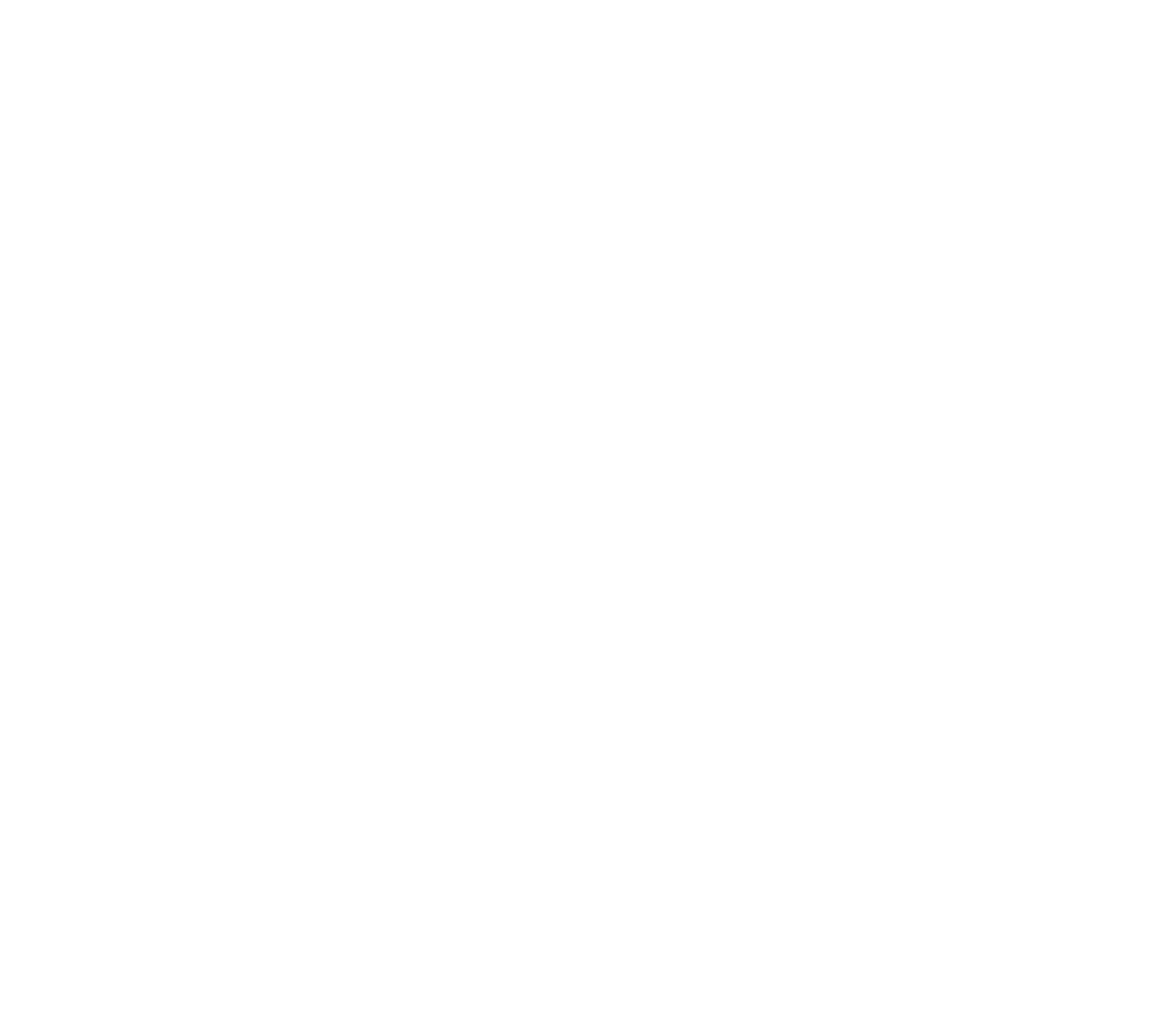 Triathlon Team