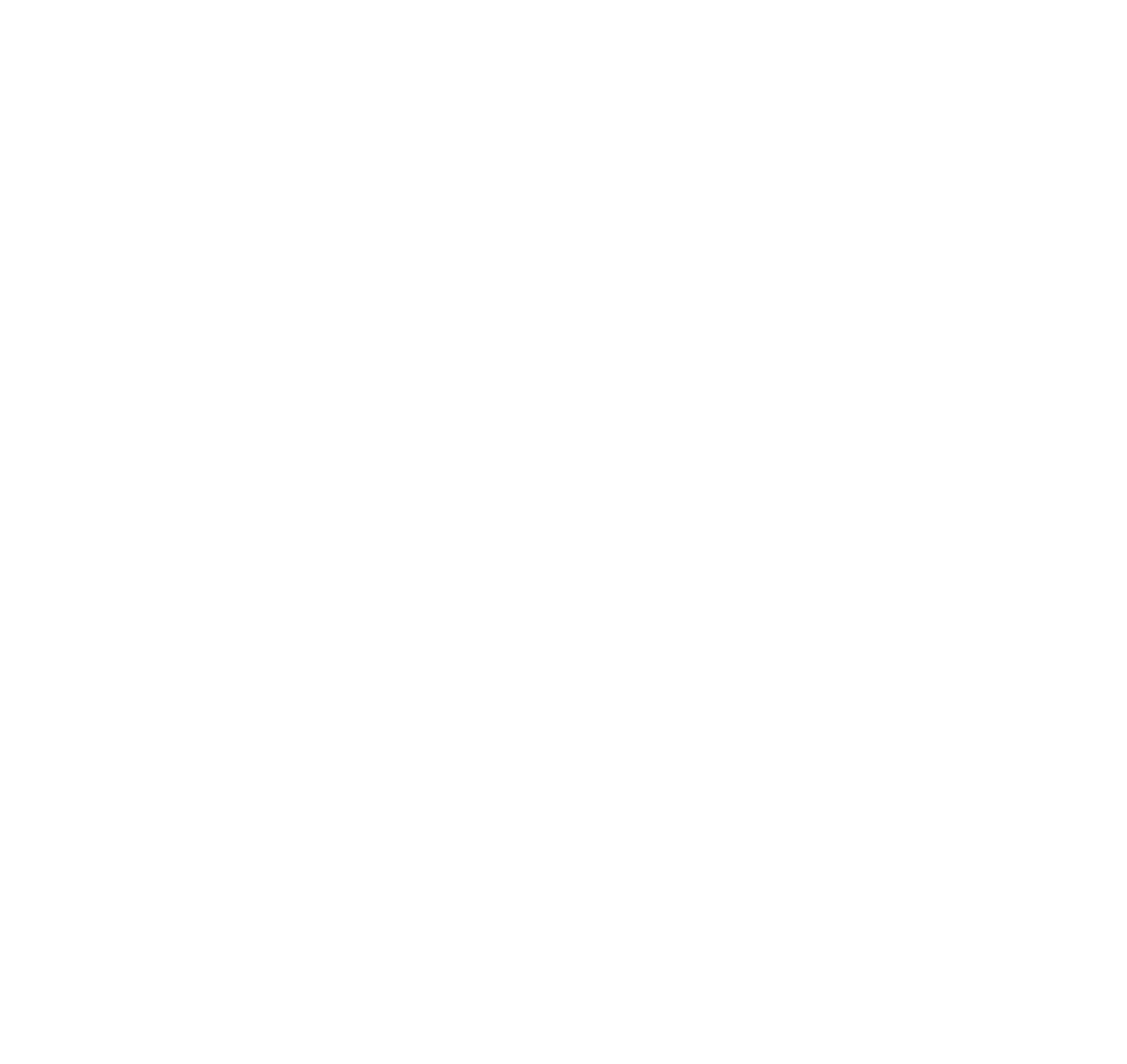 Diver Icon