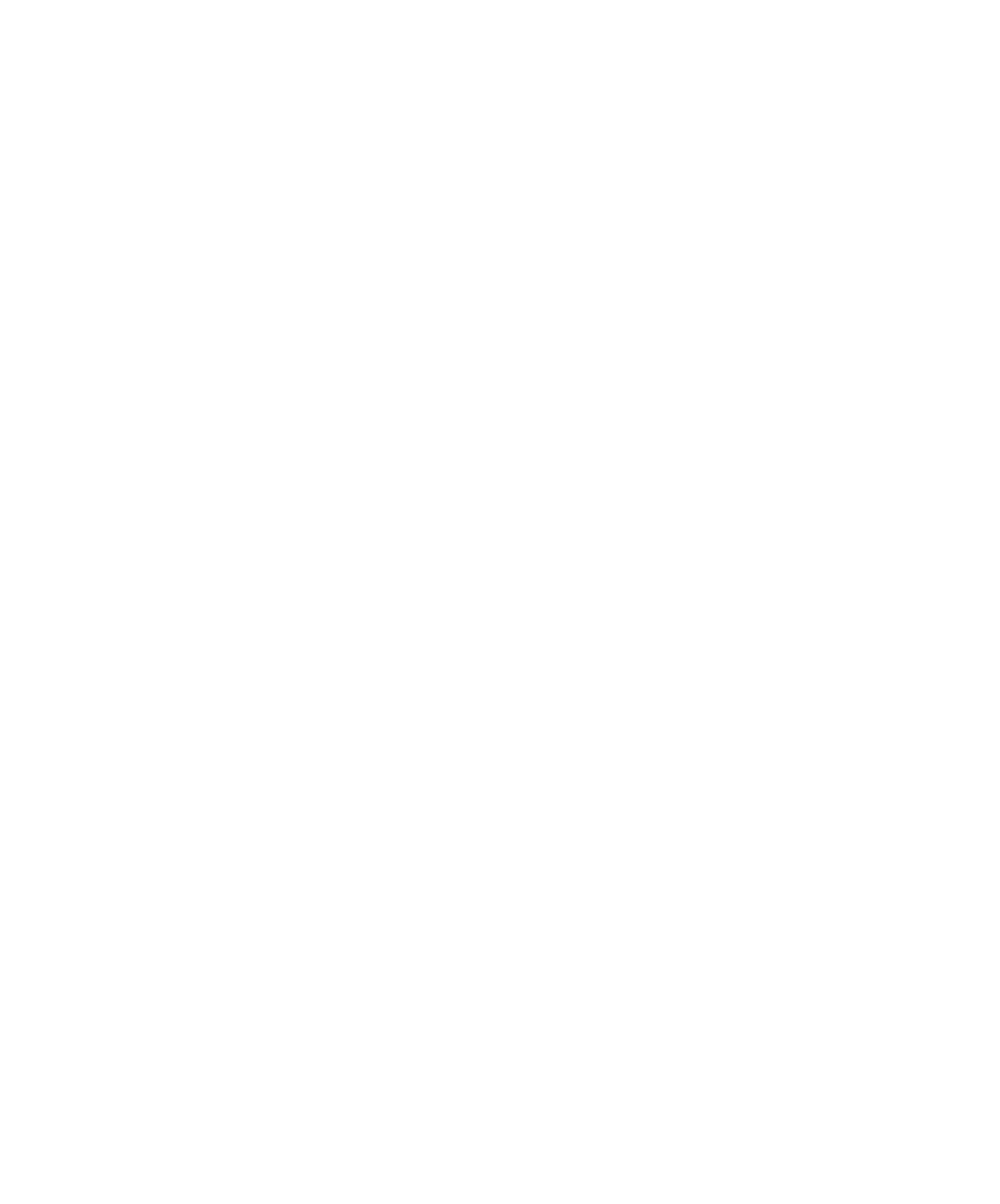 Lion Coat of Arms
