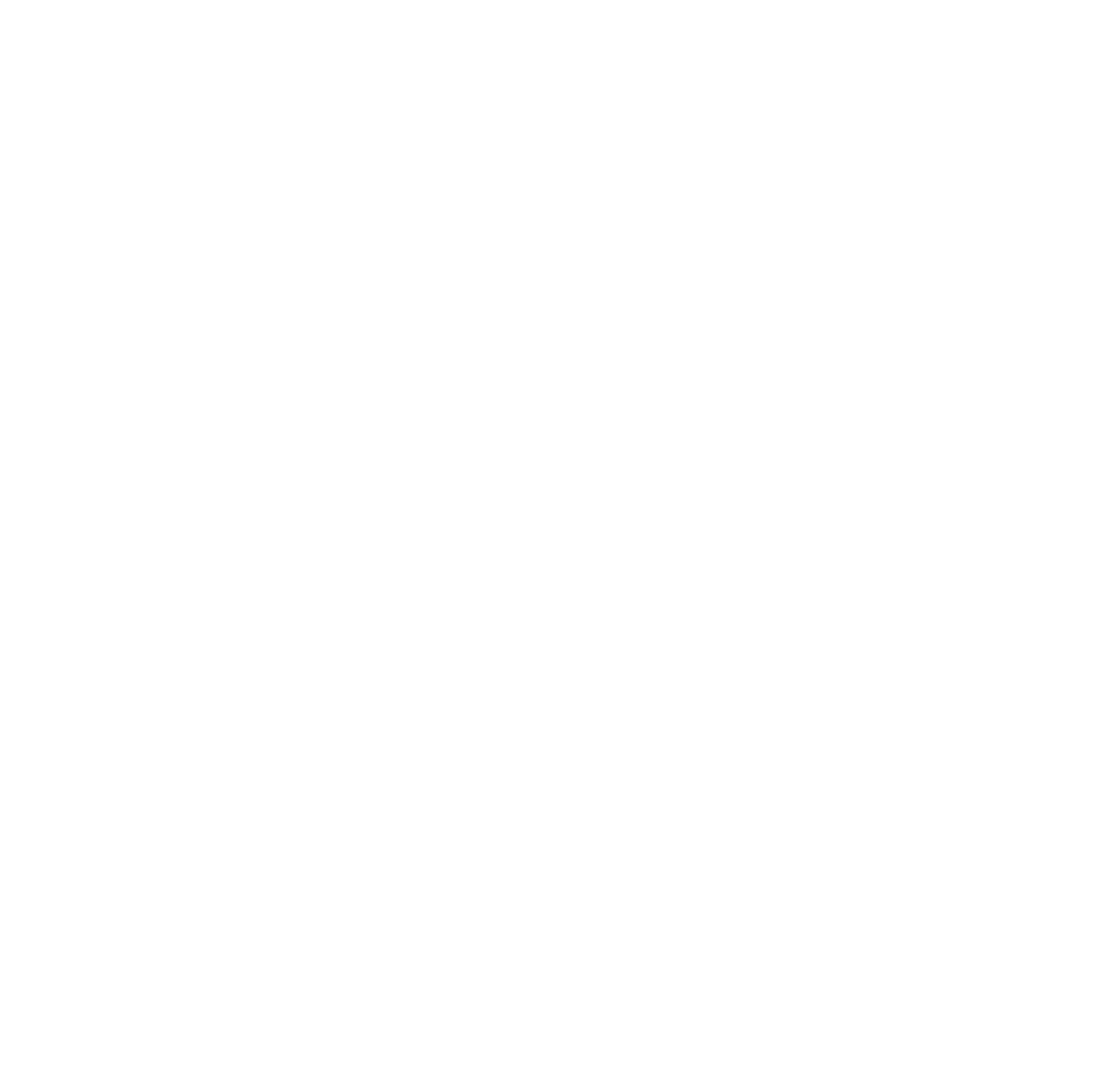 Biker Skull Winged