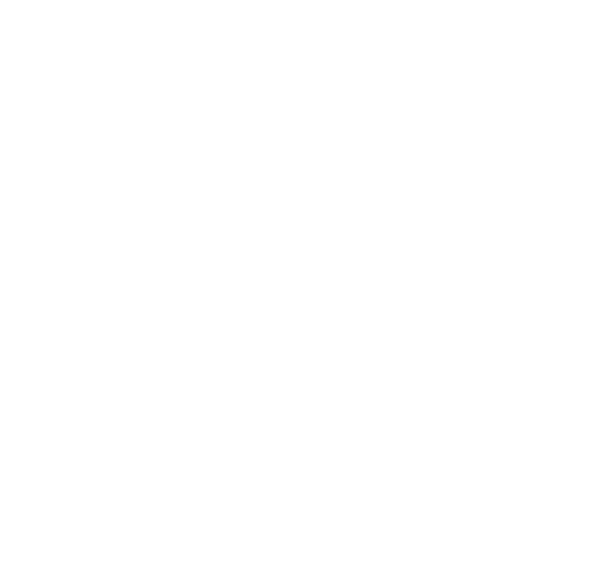 President in Progress