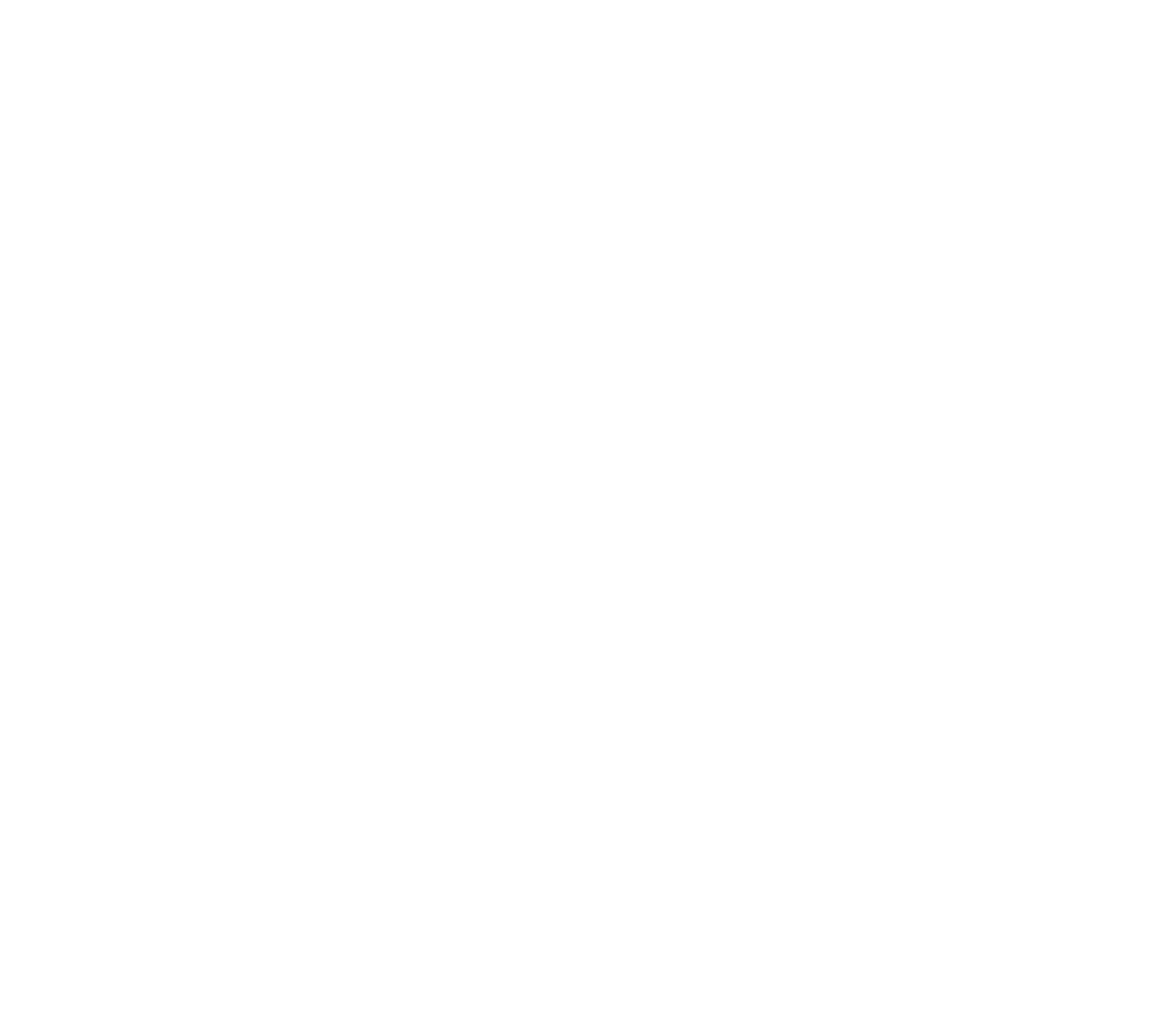 Après Ski Professional