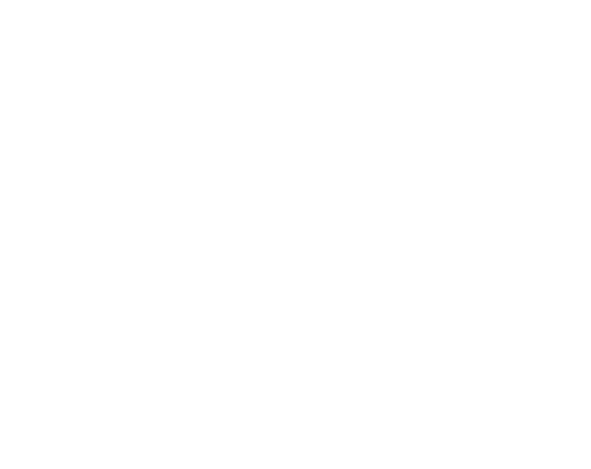 Special Edition