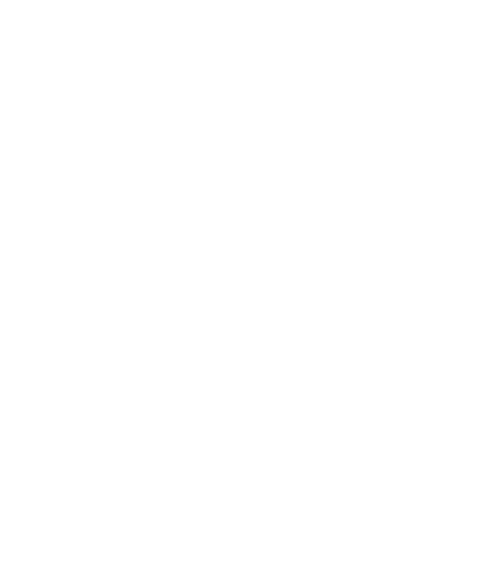 Pirate Skull