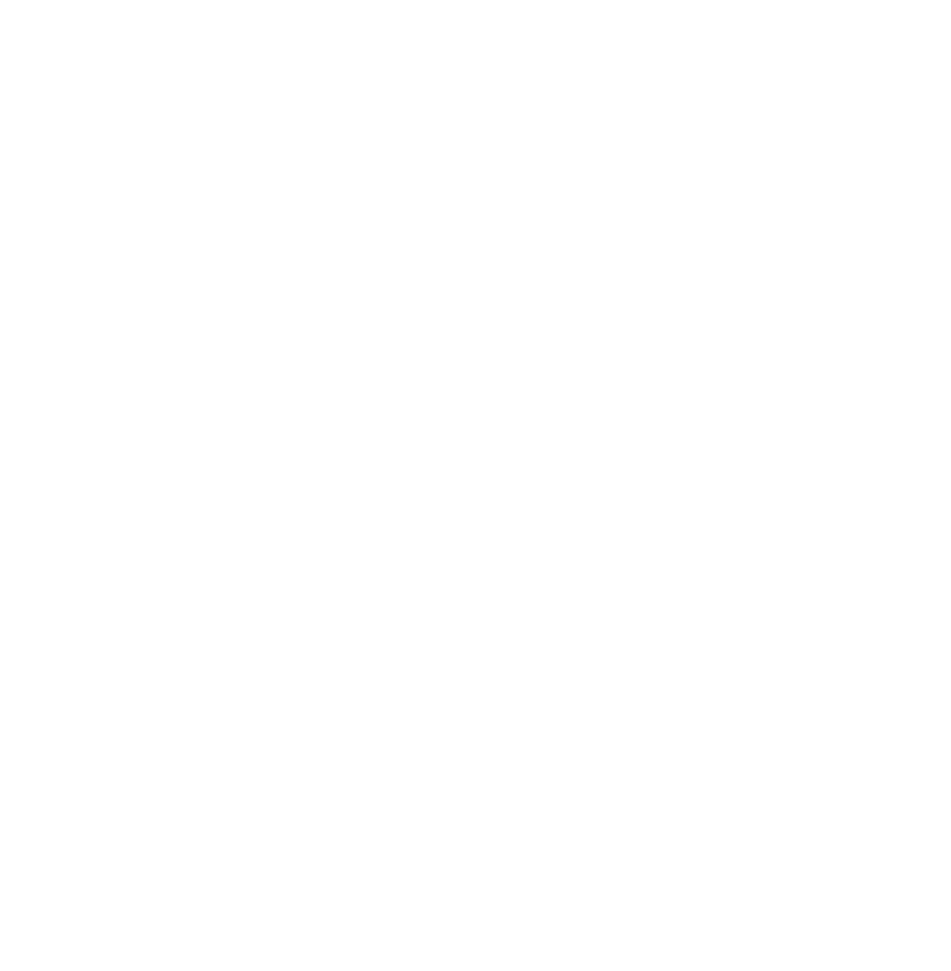 Ice Bear Icon