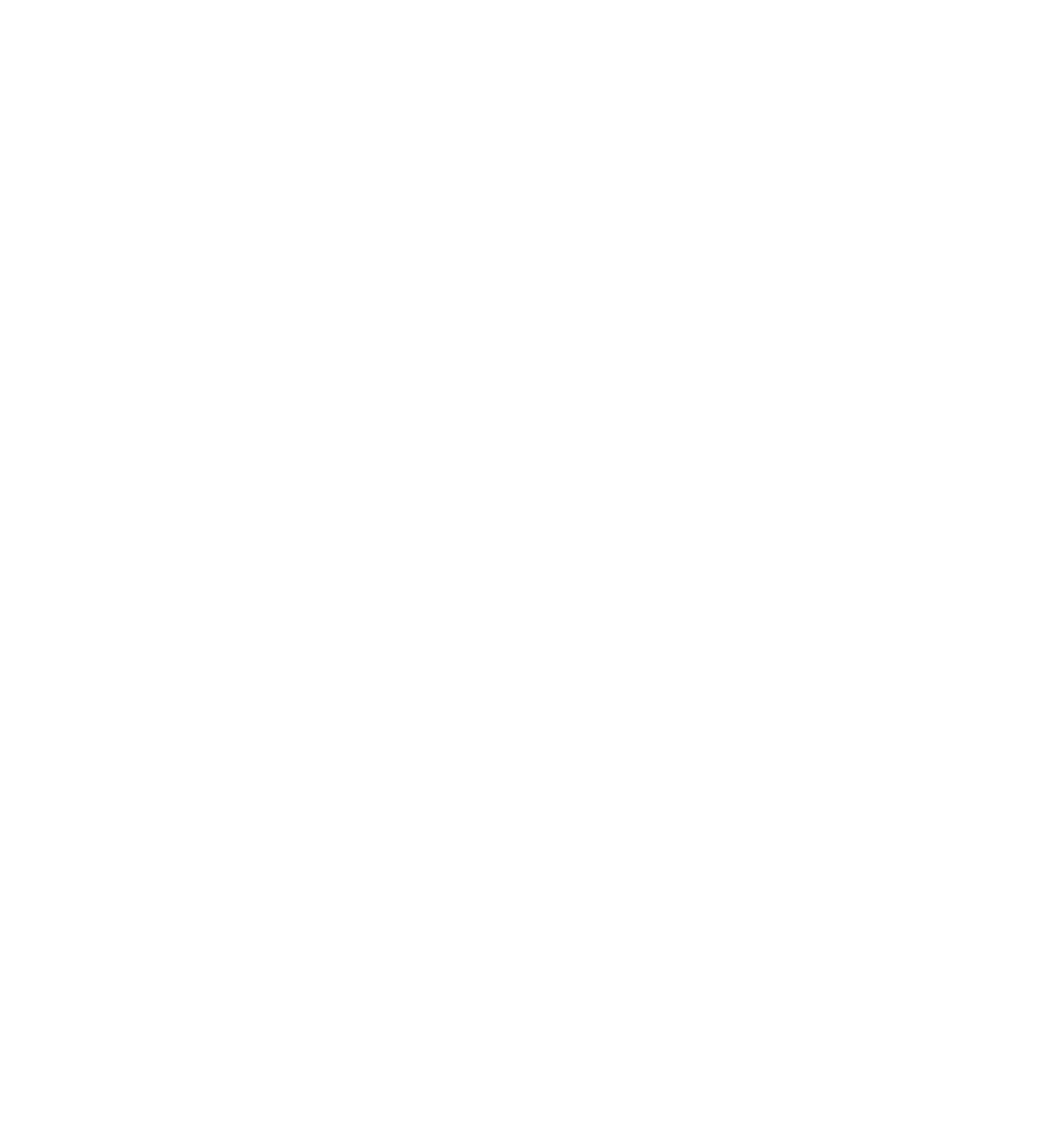 Surfer Wave Rider