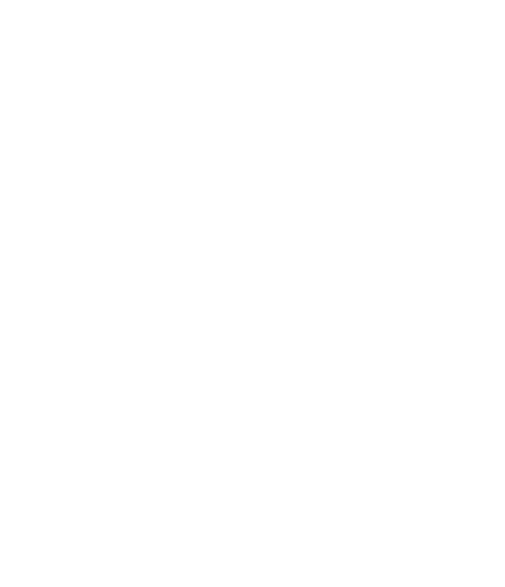 Born To Ride Motorbikes