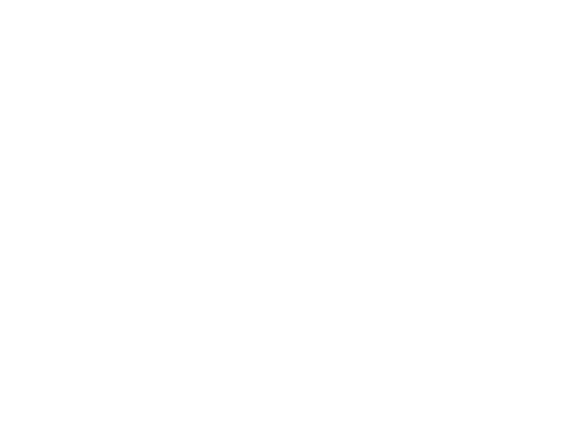 Winged Skull