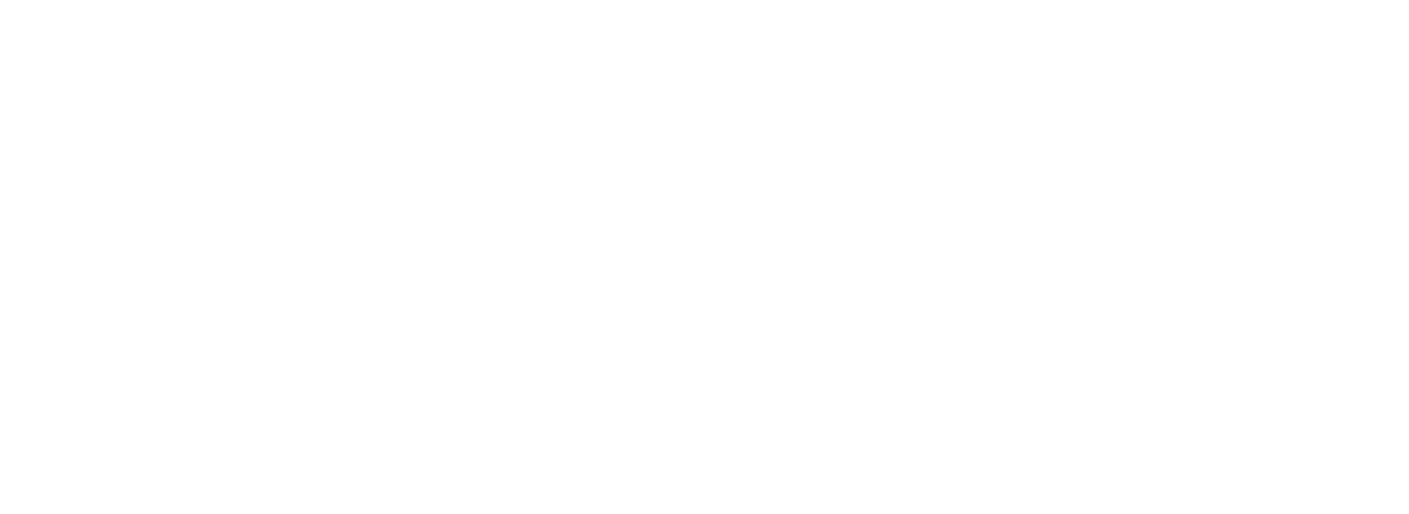 Evolution Handball