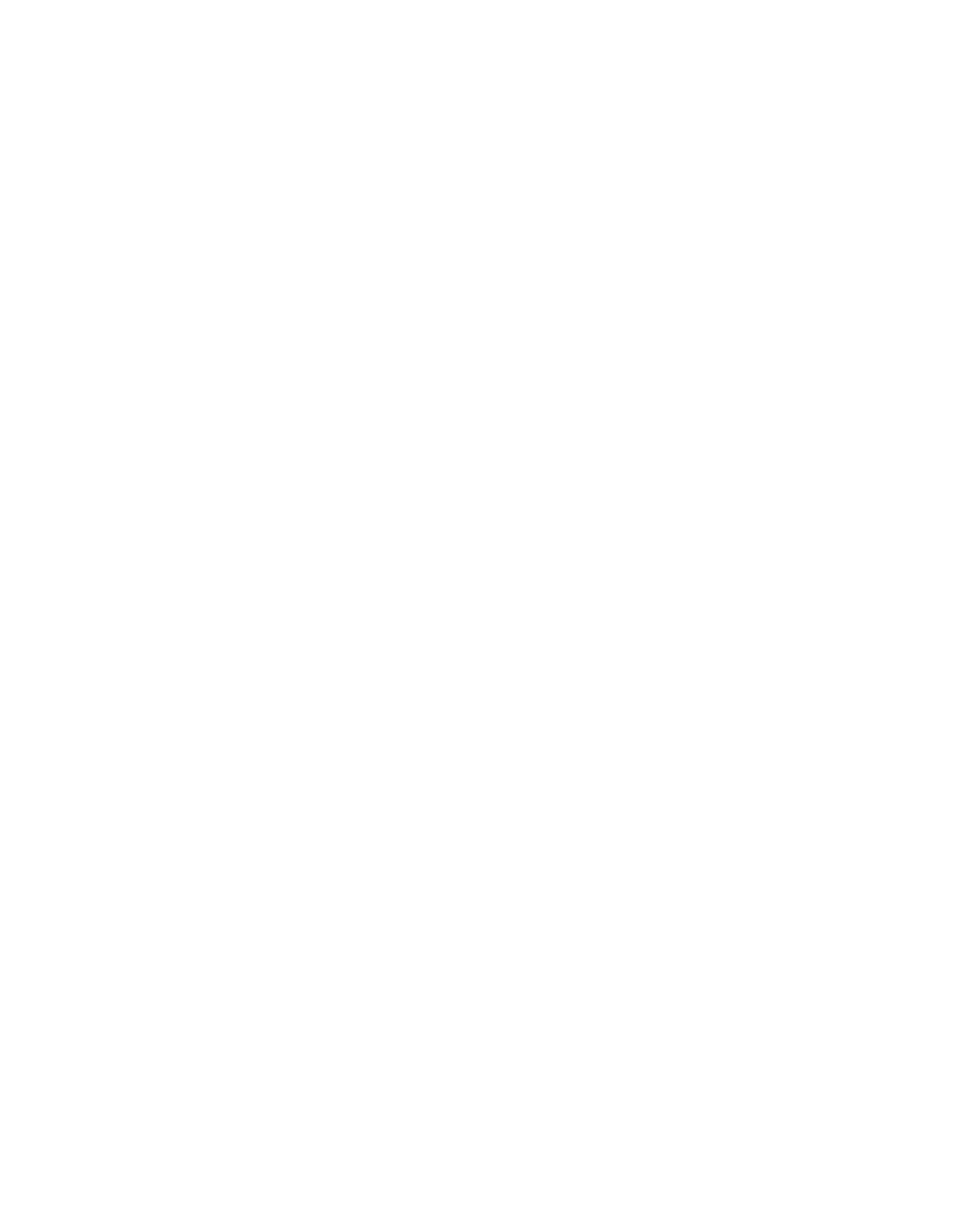 Bruder 02