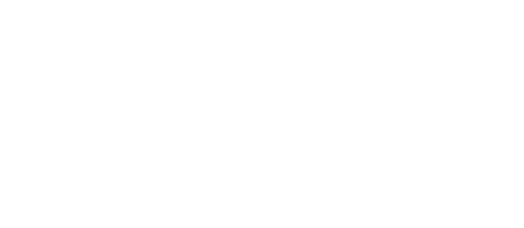 Fast Bicycle