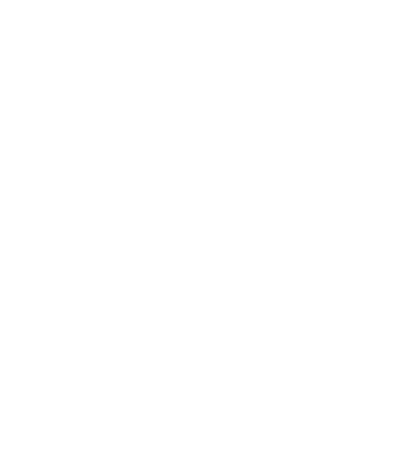 Mr Après Ski