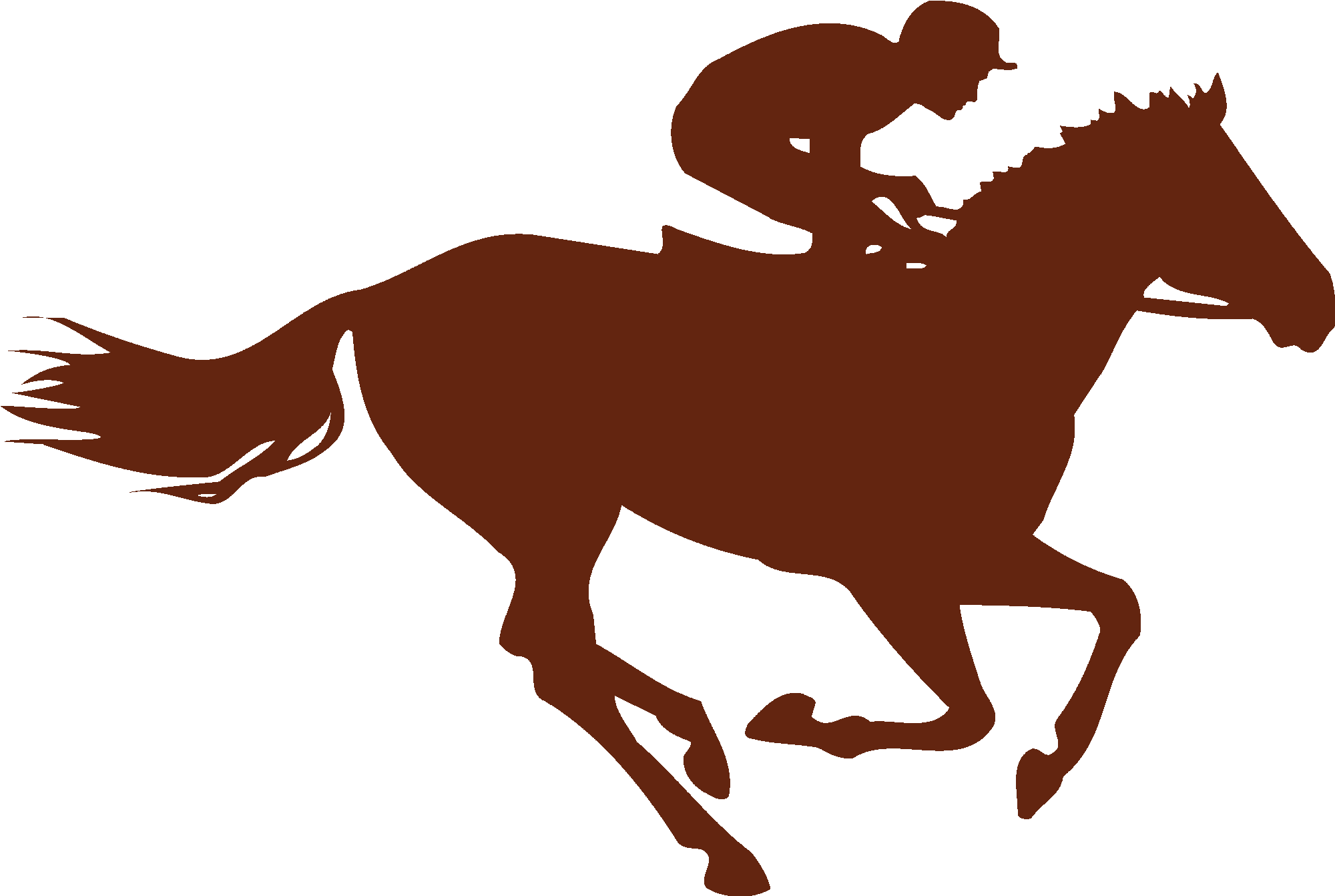 Horse Racing Jokey