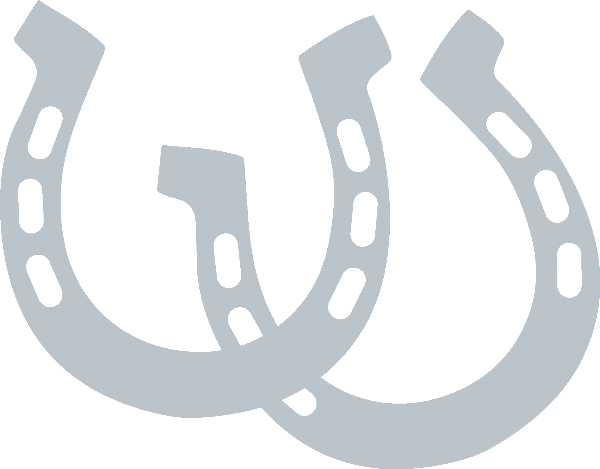 Horseshoes