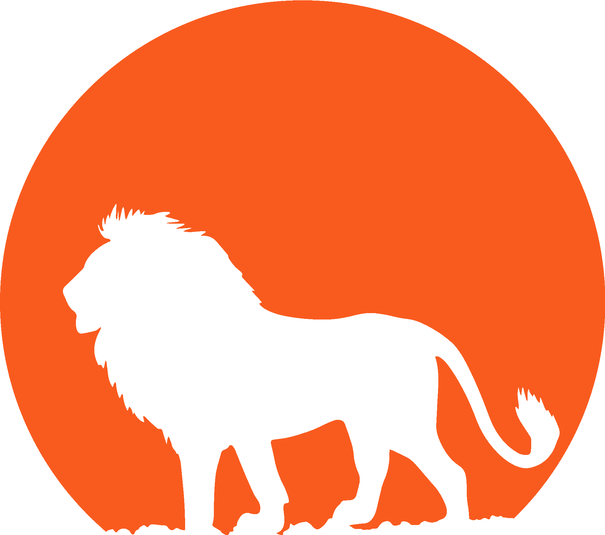 Lion in Moonlight