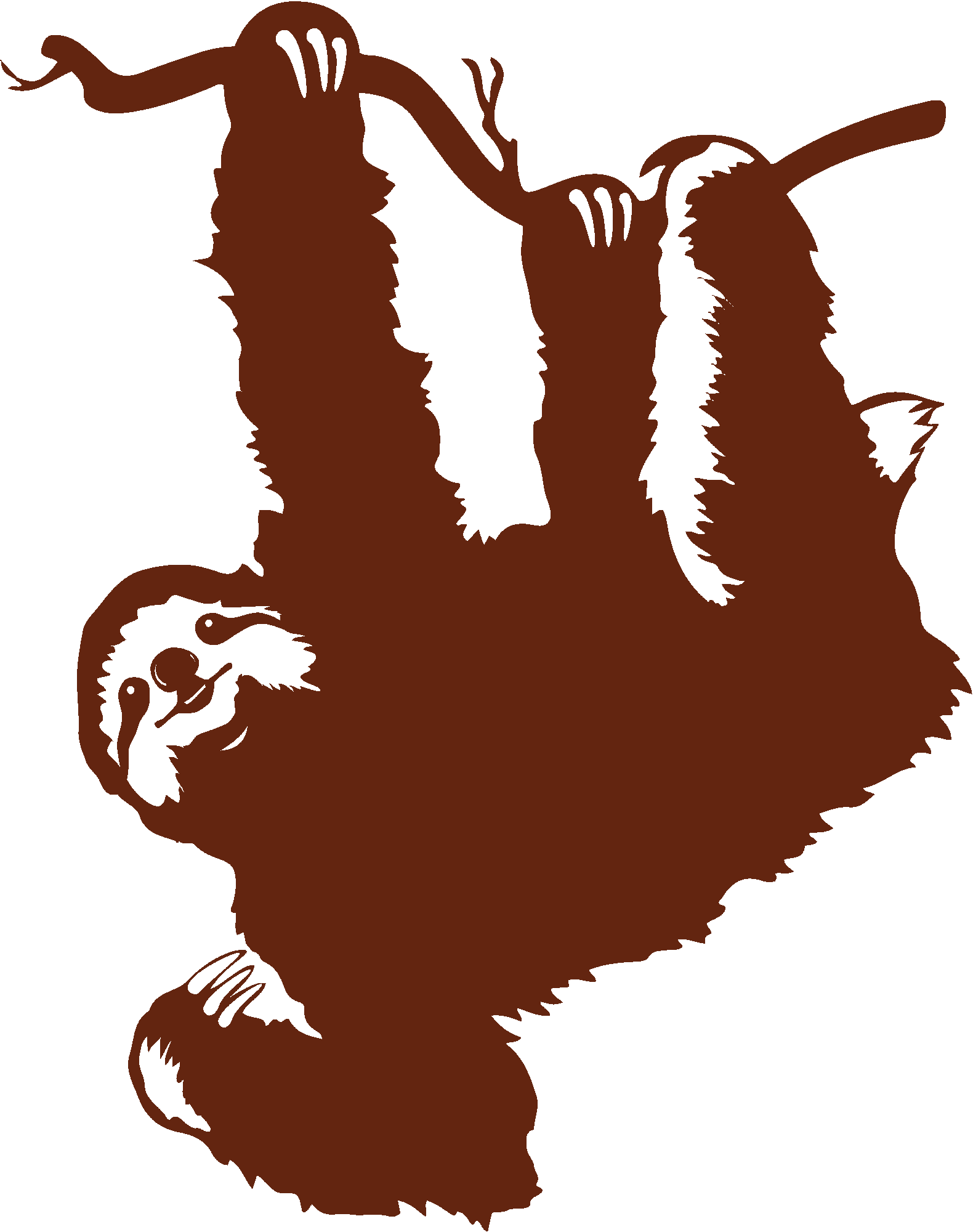 Sloth lazybones
