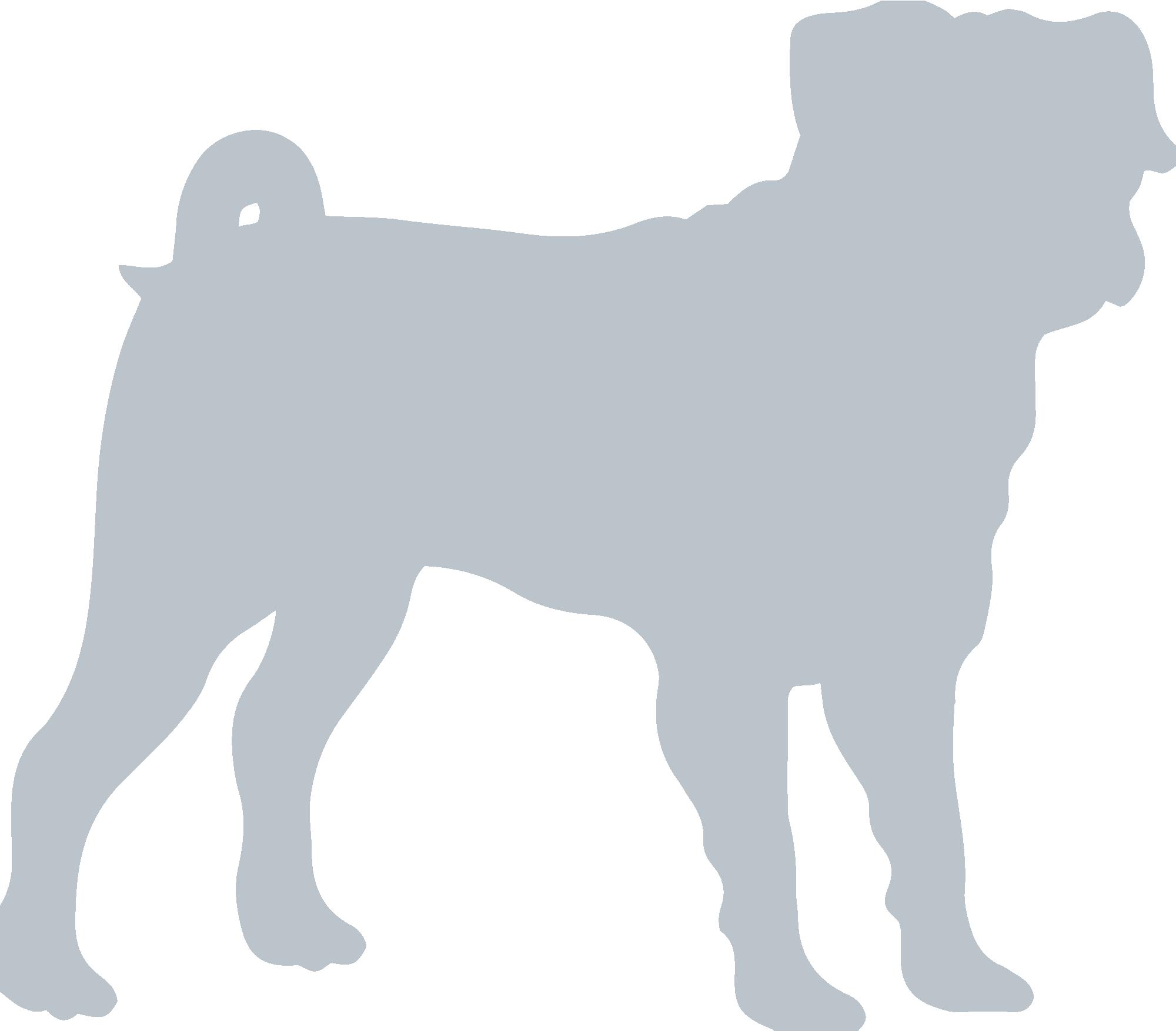 Pug Illustration