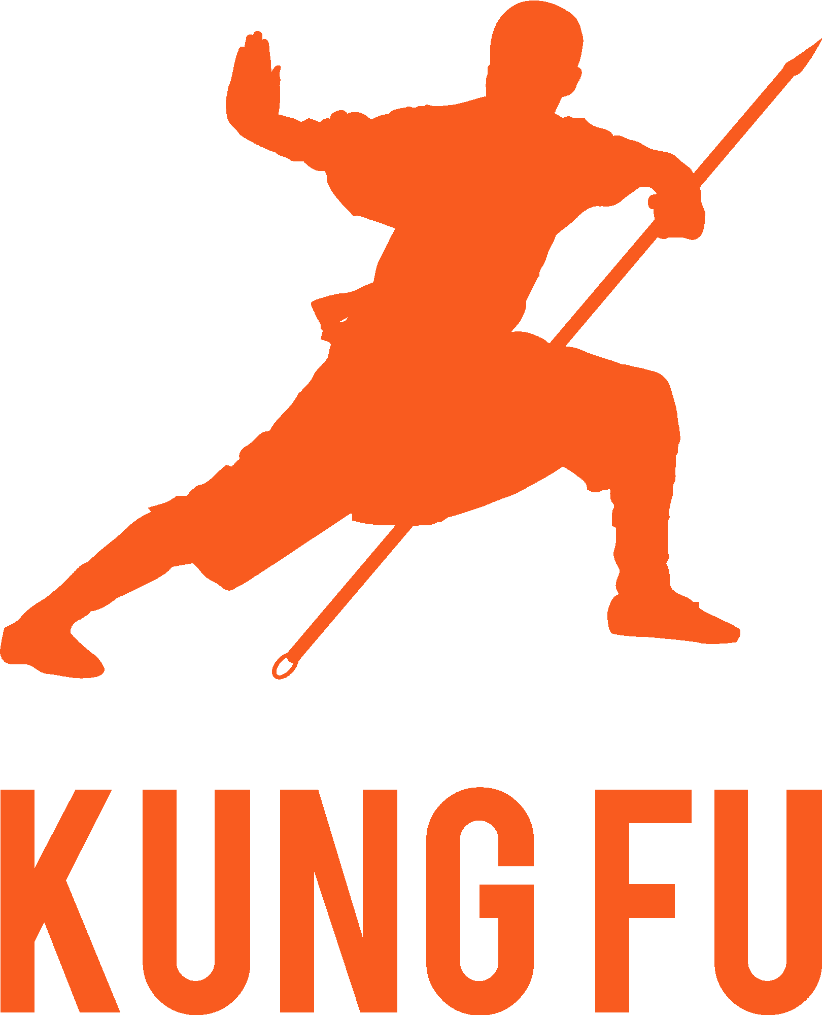 Kung Fu Fighter