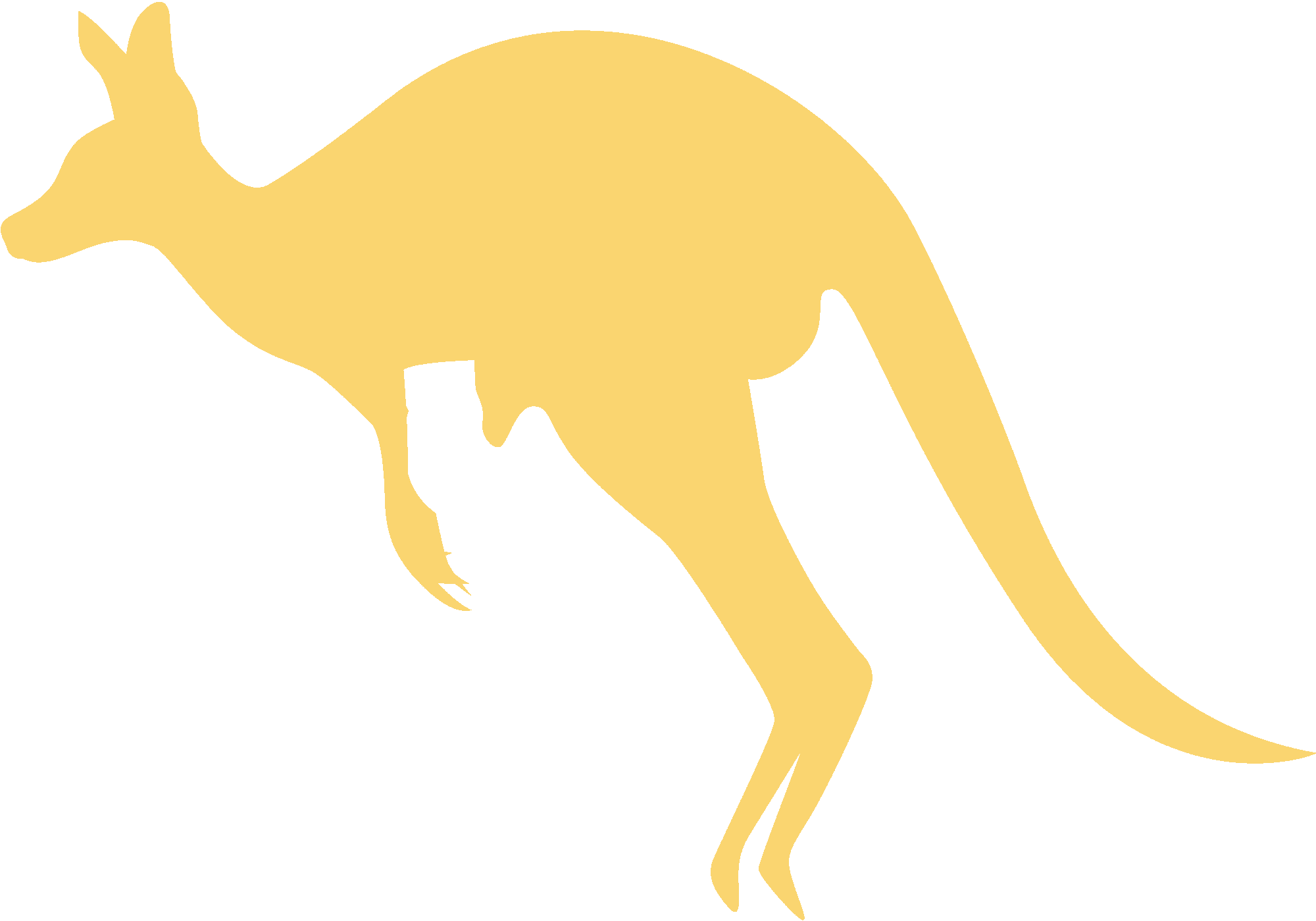 Kangaroo