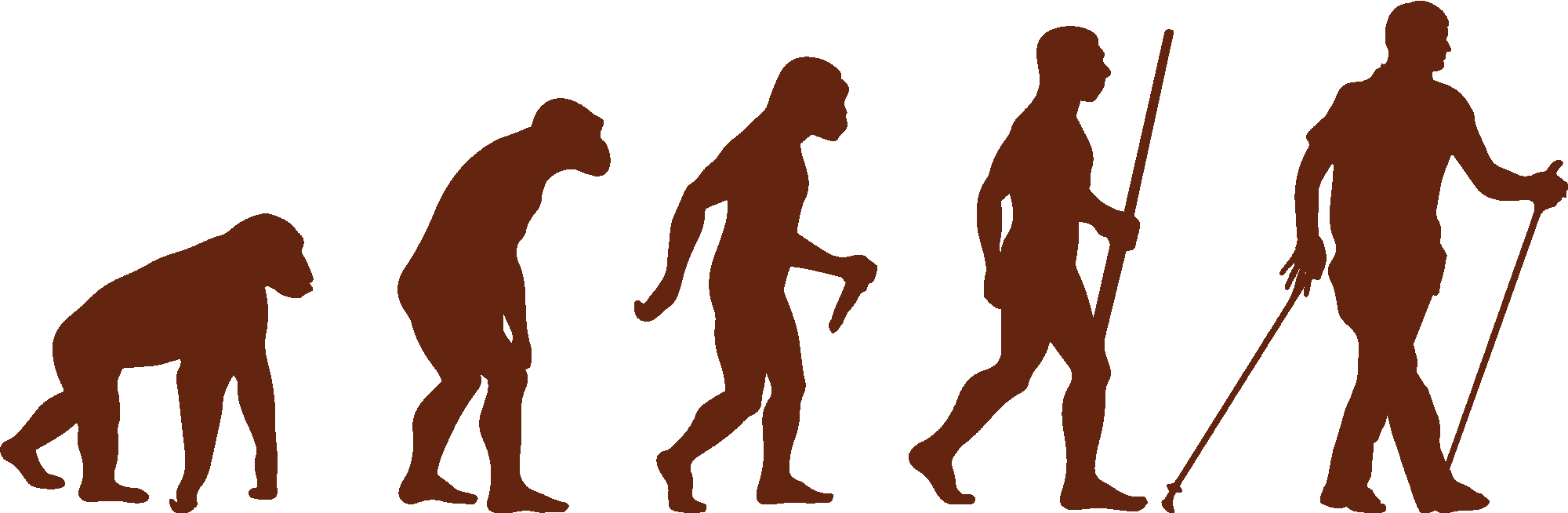 Nordic Walking Evolution