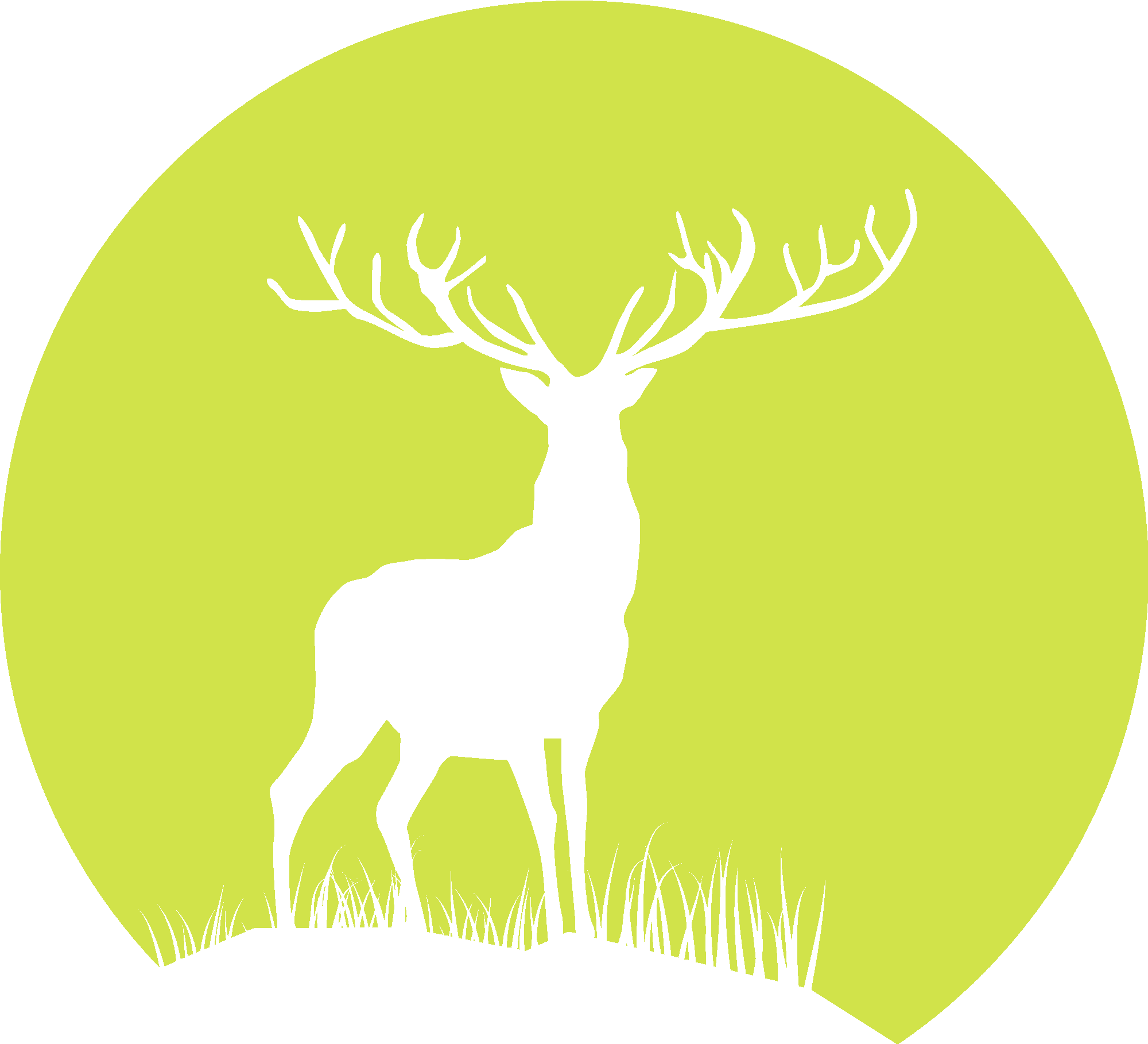 Deer in Moonlight