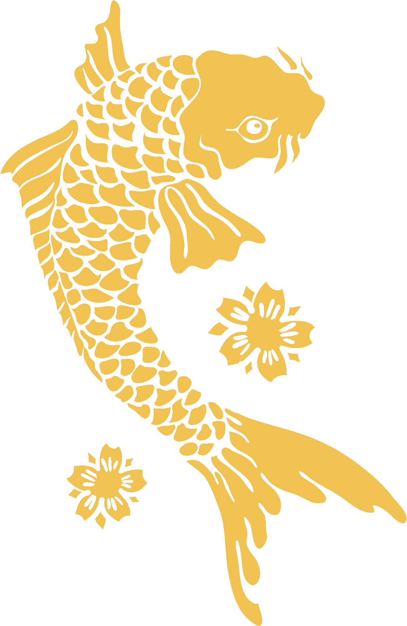 Koi Fish