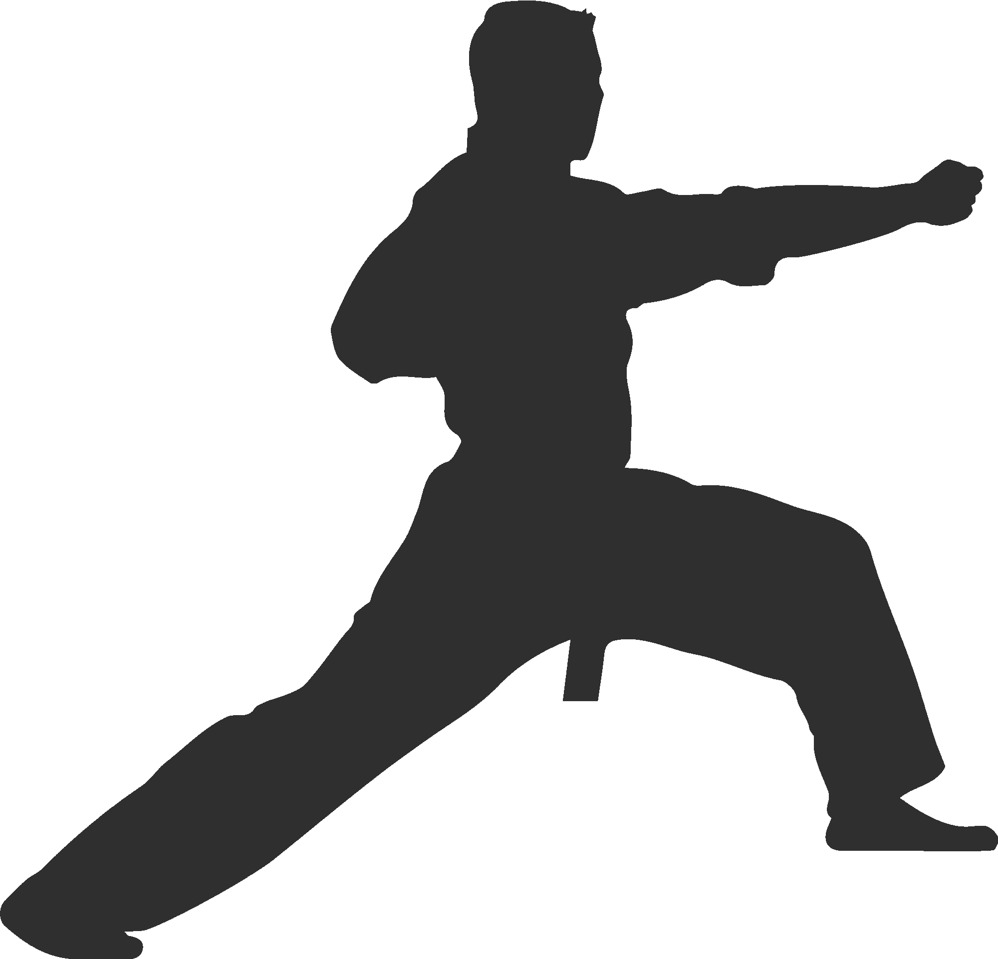 Kung Fu Fighter Silhouette